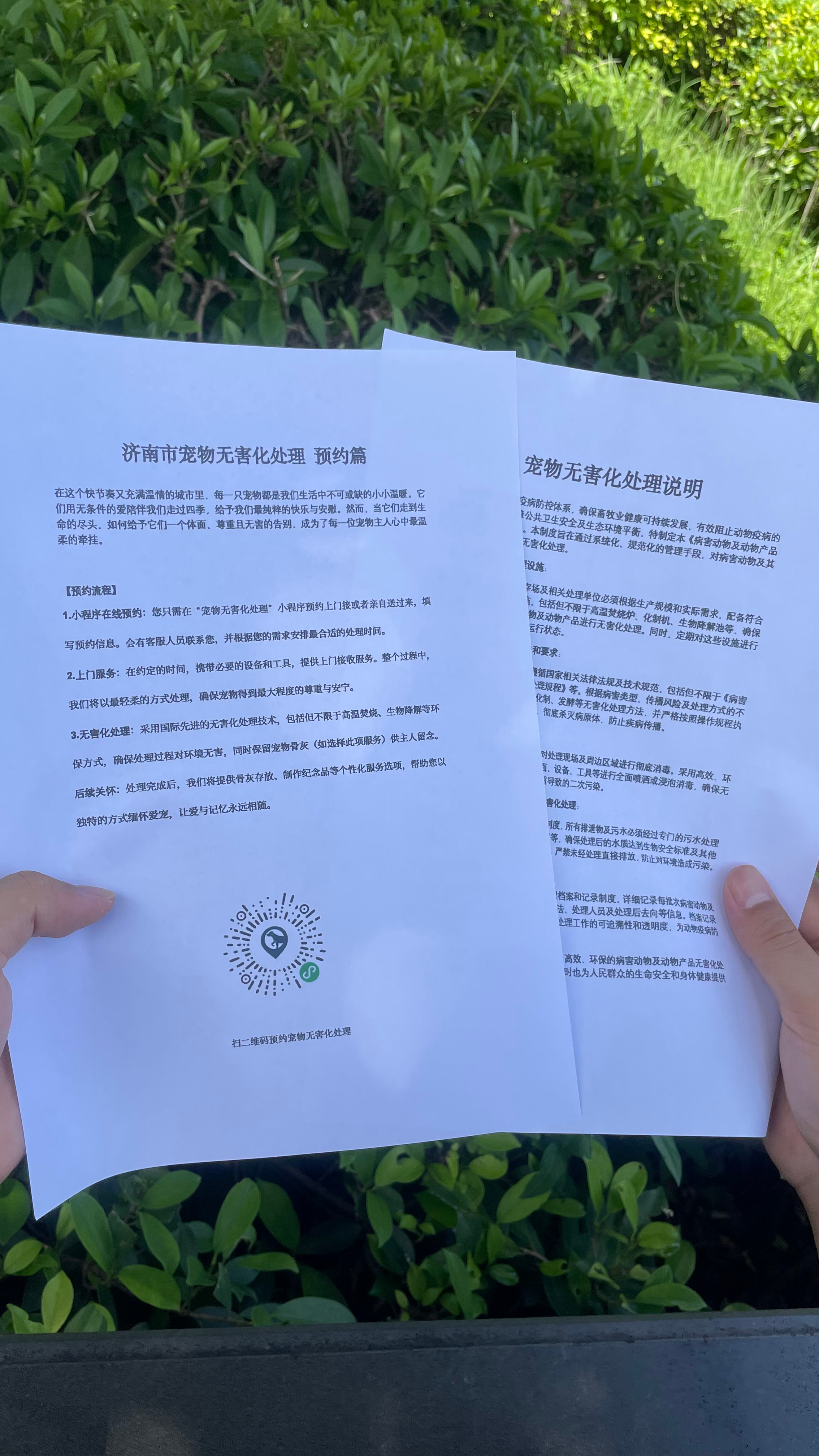 贵池宠物骨灰安置