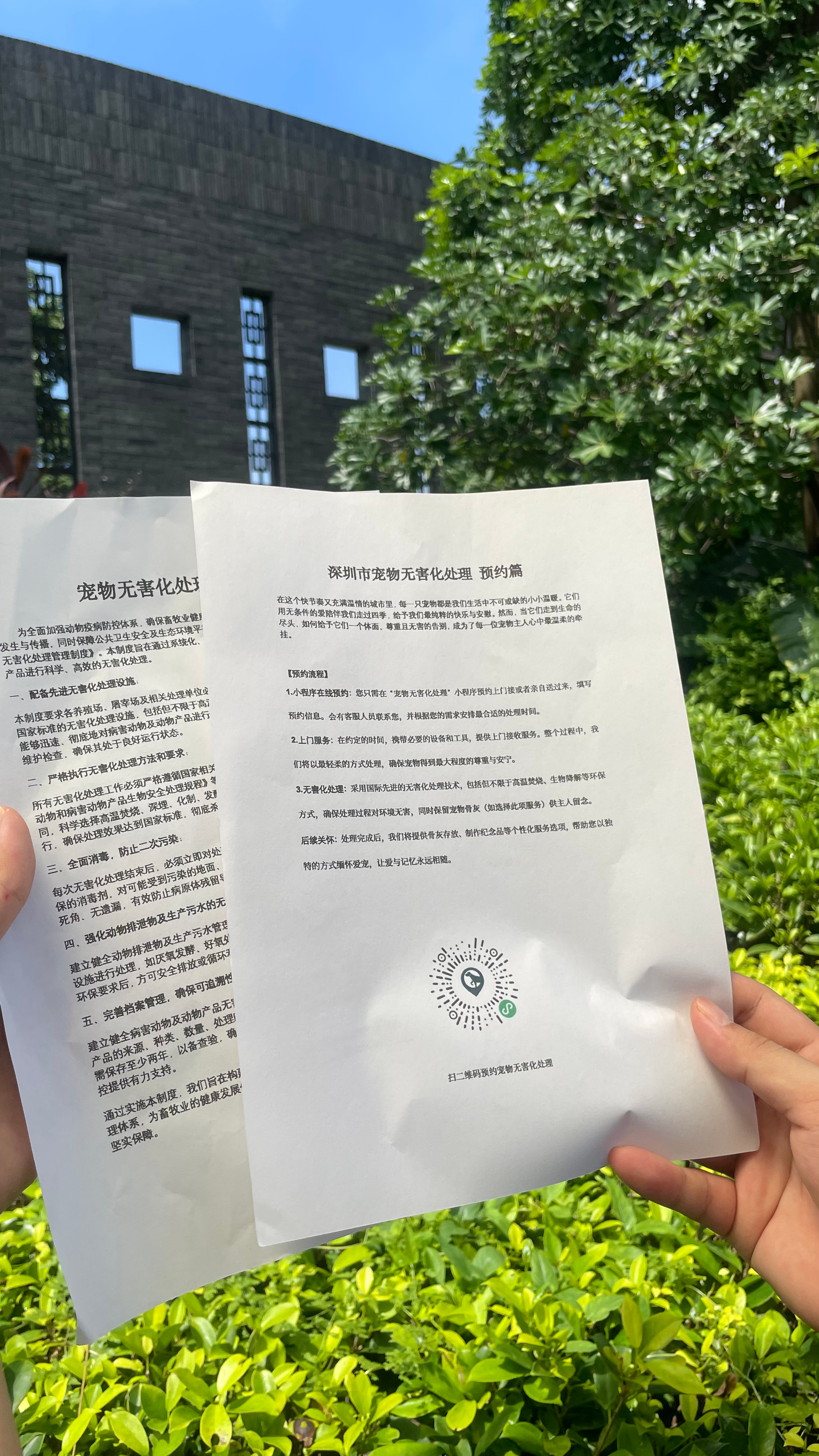 西安宠物无害化处理机构