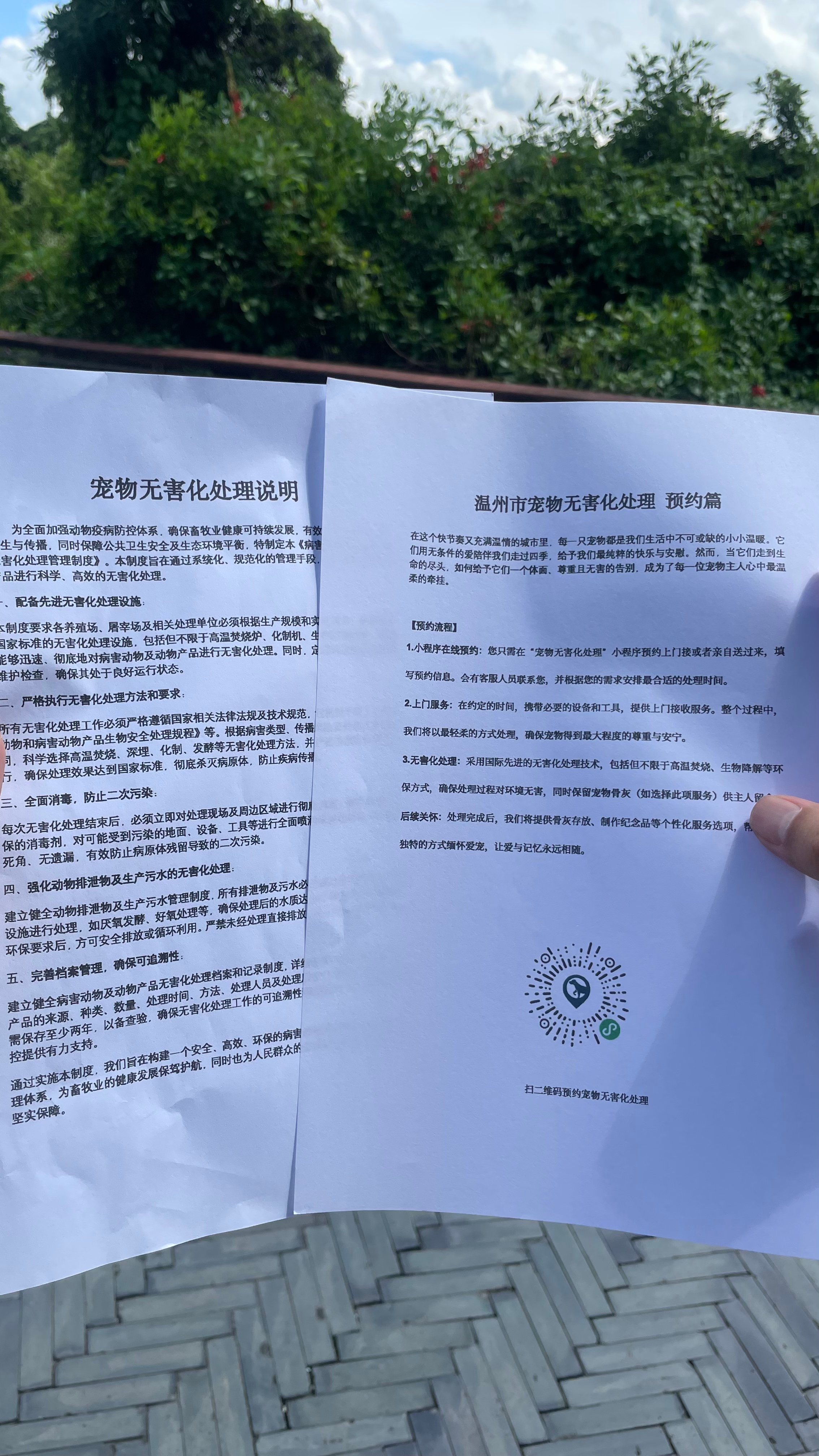 宁国宠物无害化