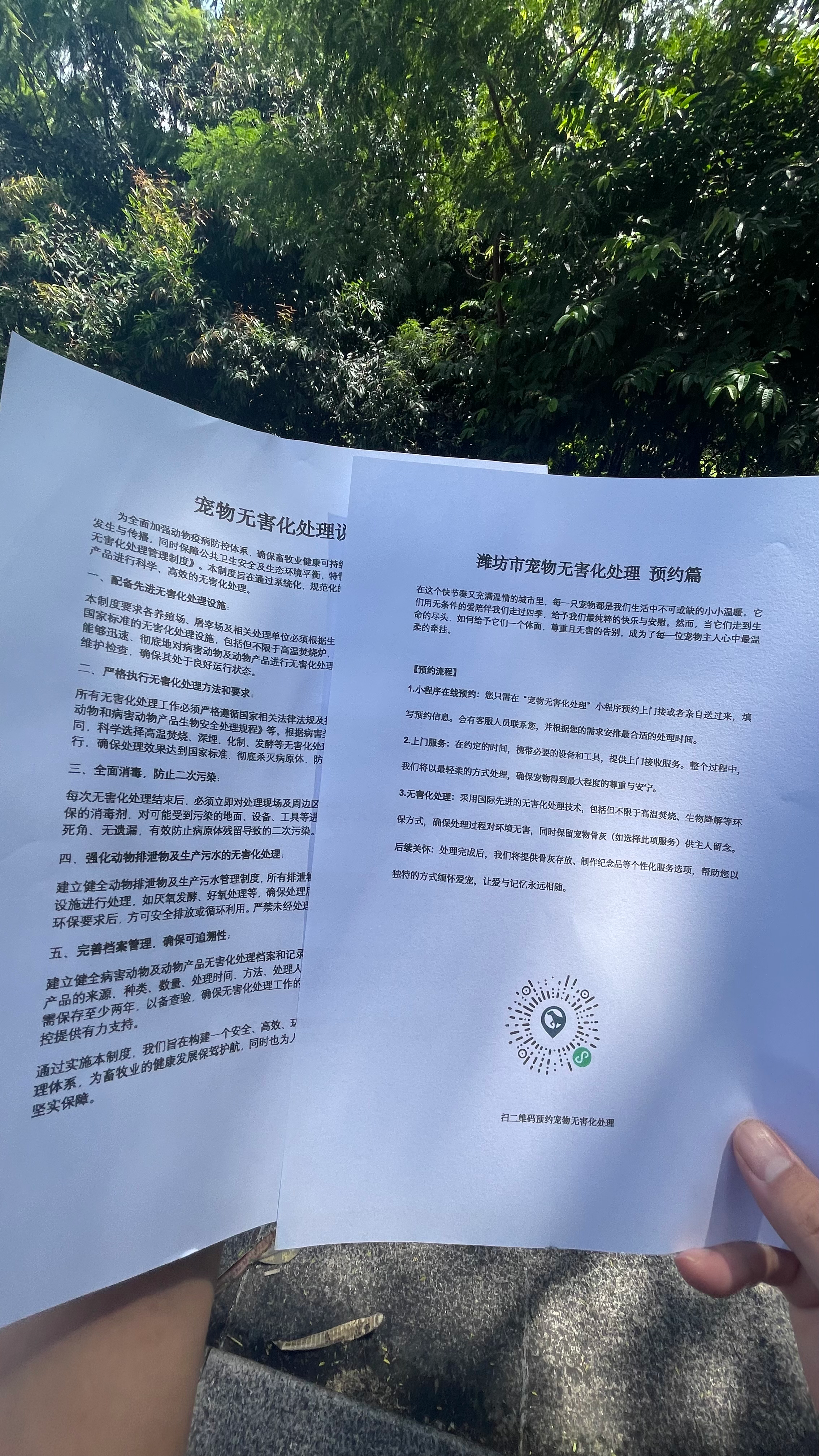 宁国宠摆渡服务