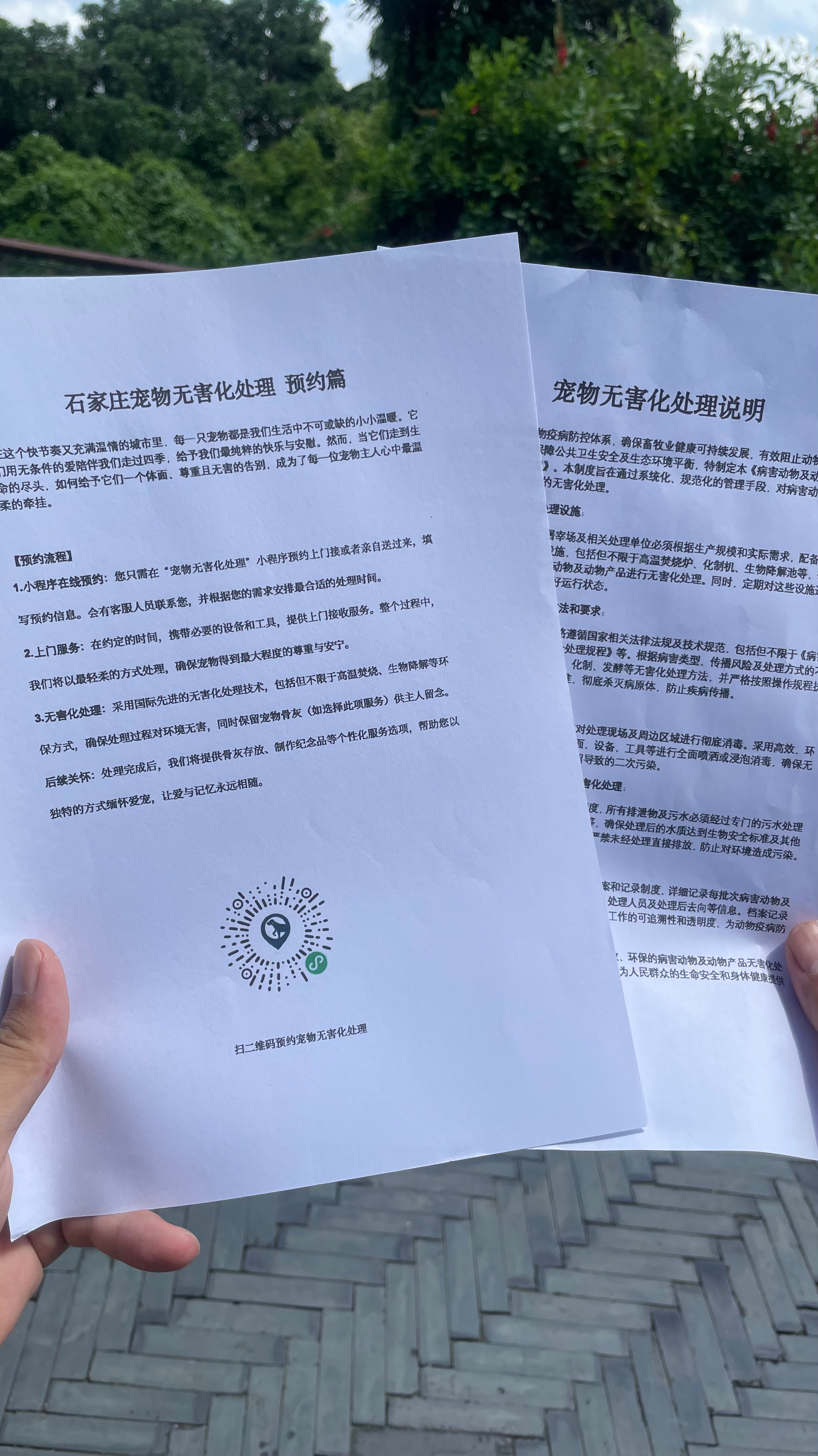 河池宠物无害化处理机构
