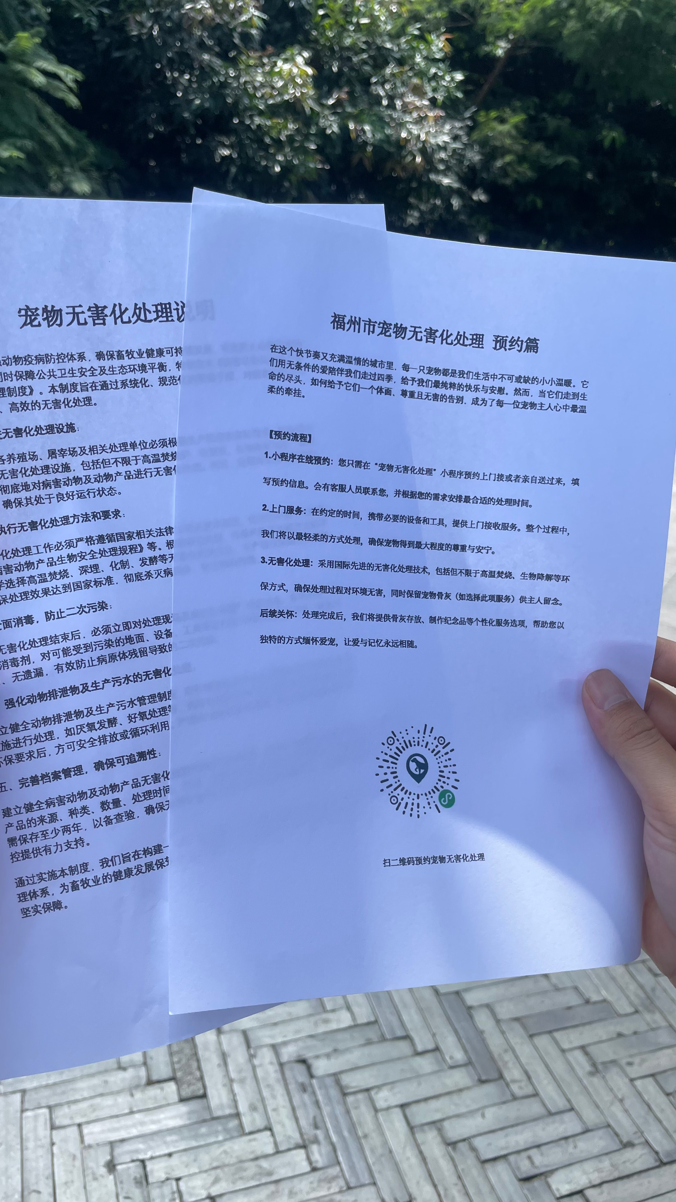 金华宠物无害化处理机构