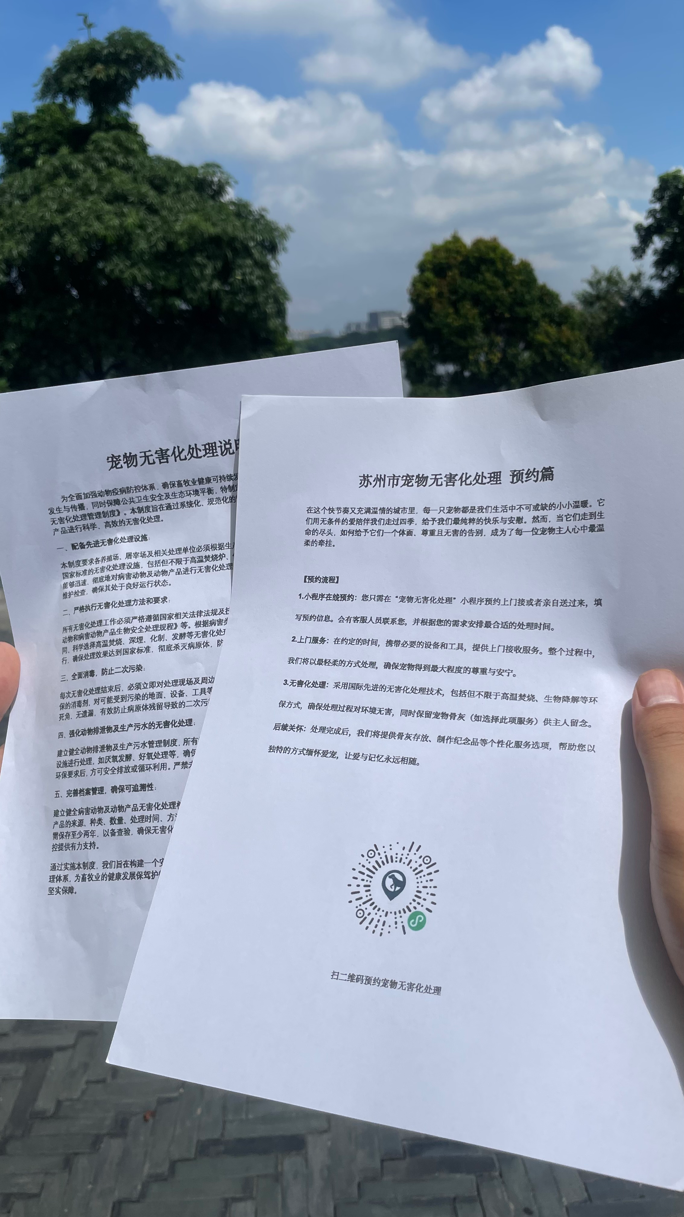 广德宠物无害化处理