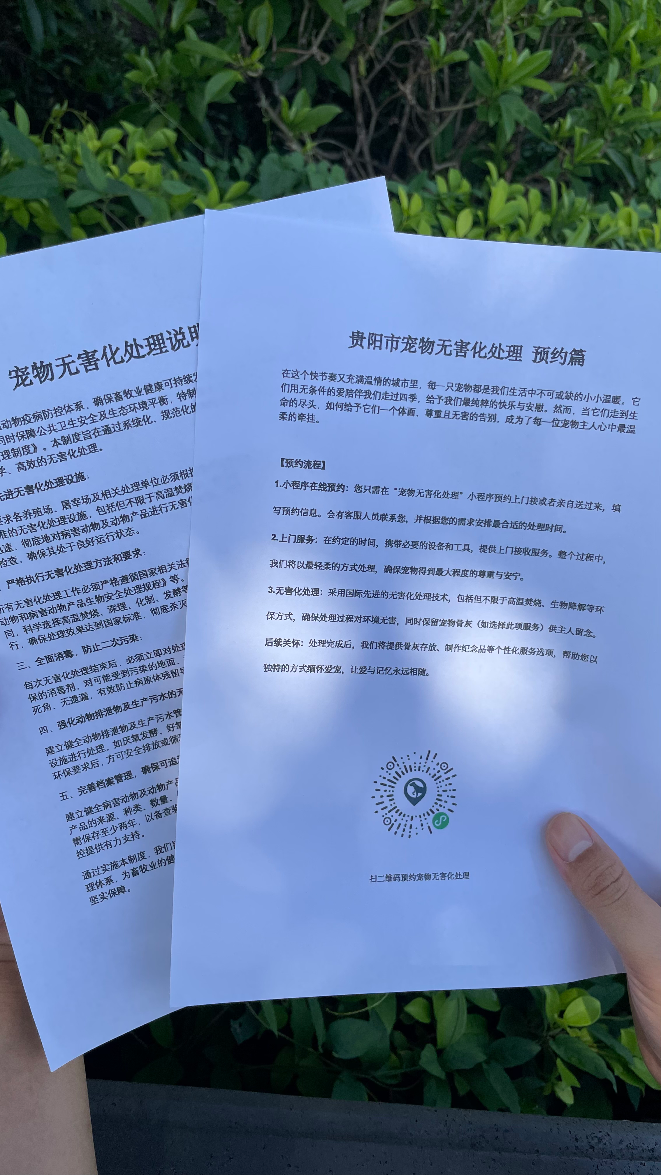 广德宠摆渡服务
