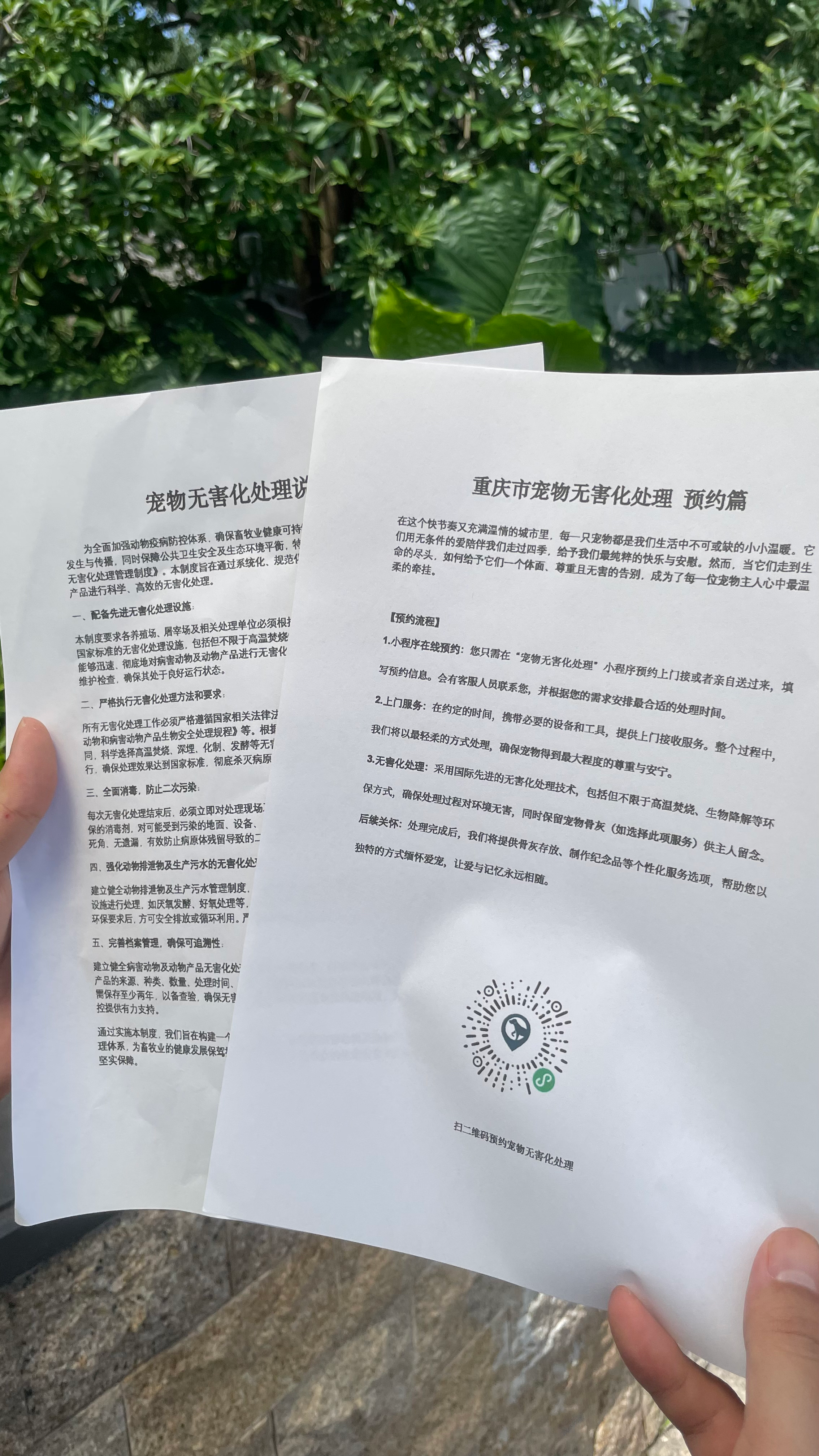 广德宠物无害化处理流程