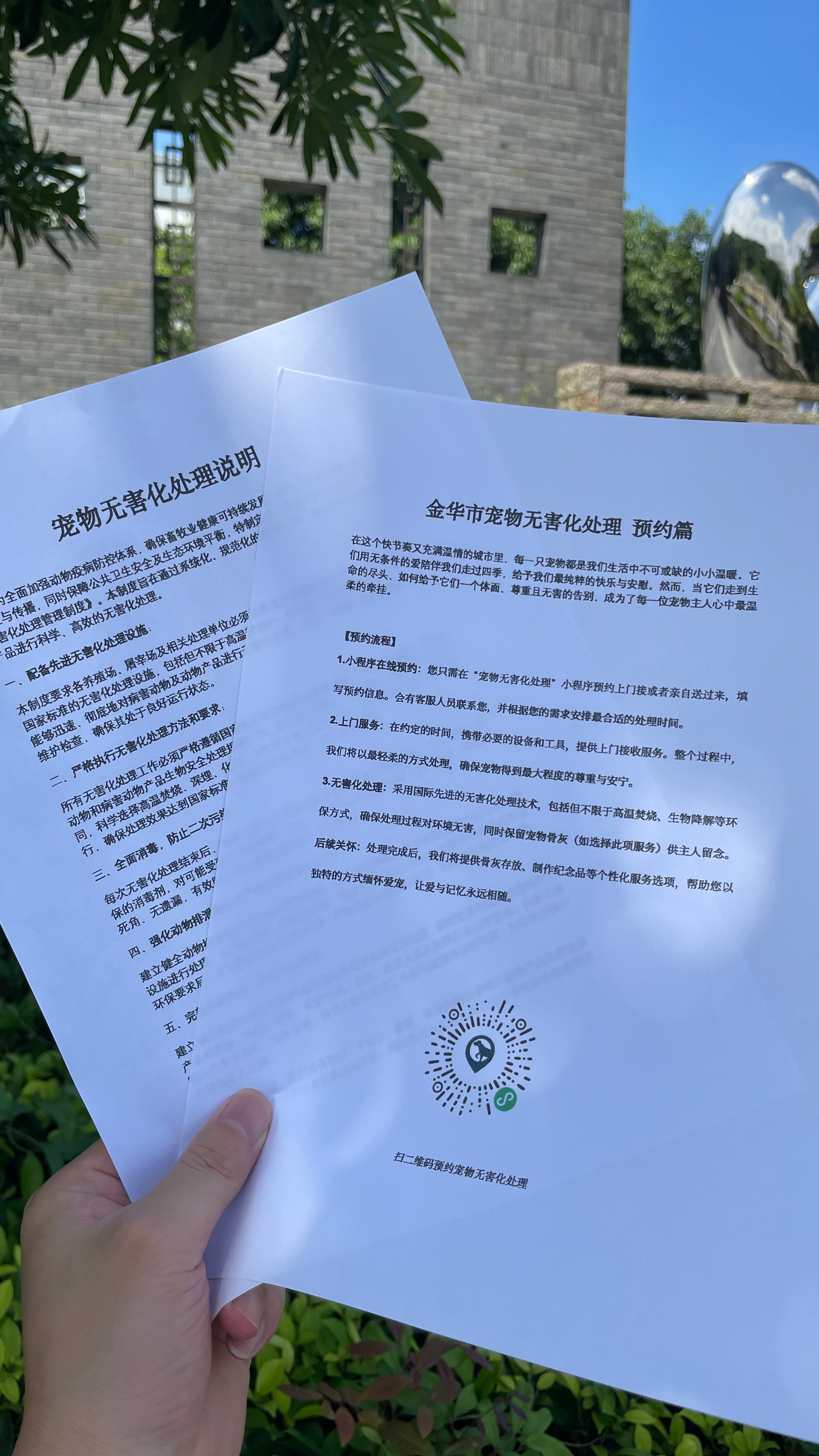 广德宠物接运服务