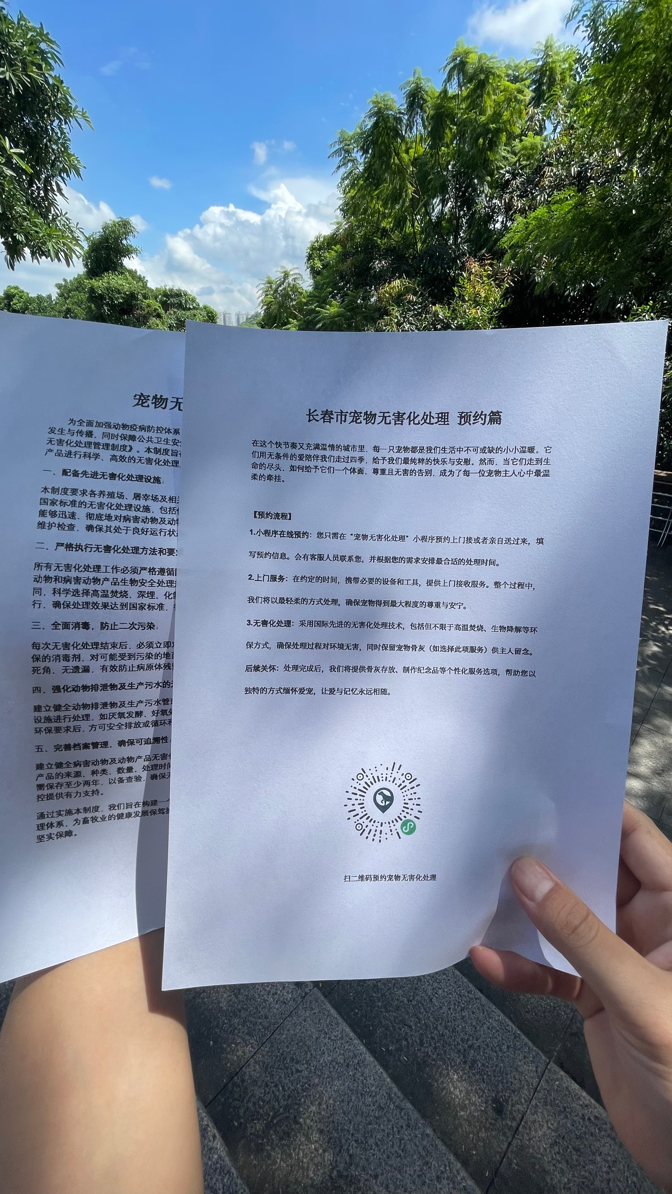 广德宠物告别厅
