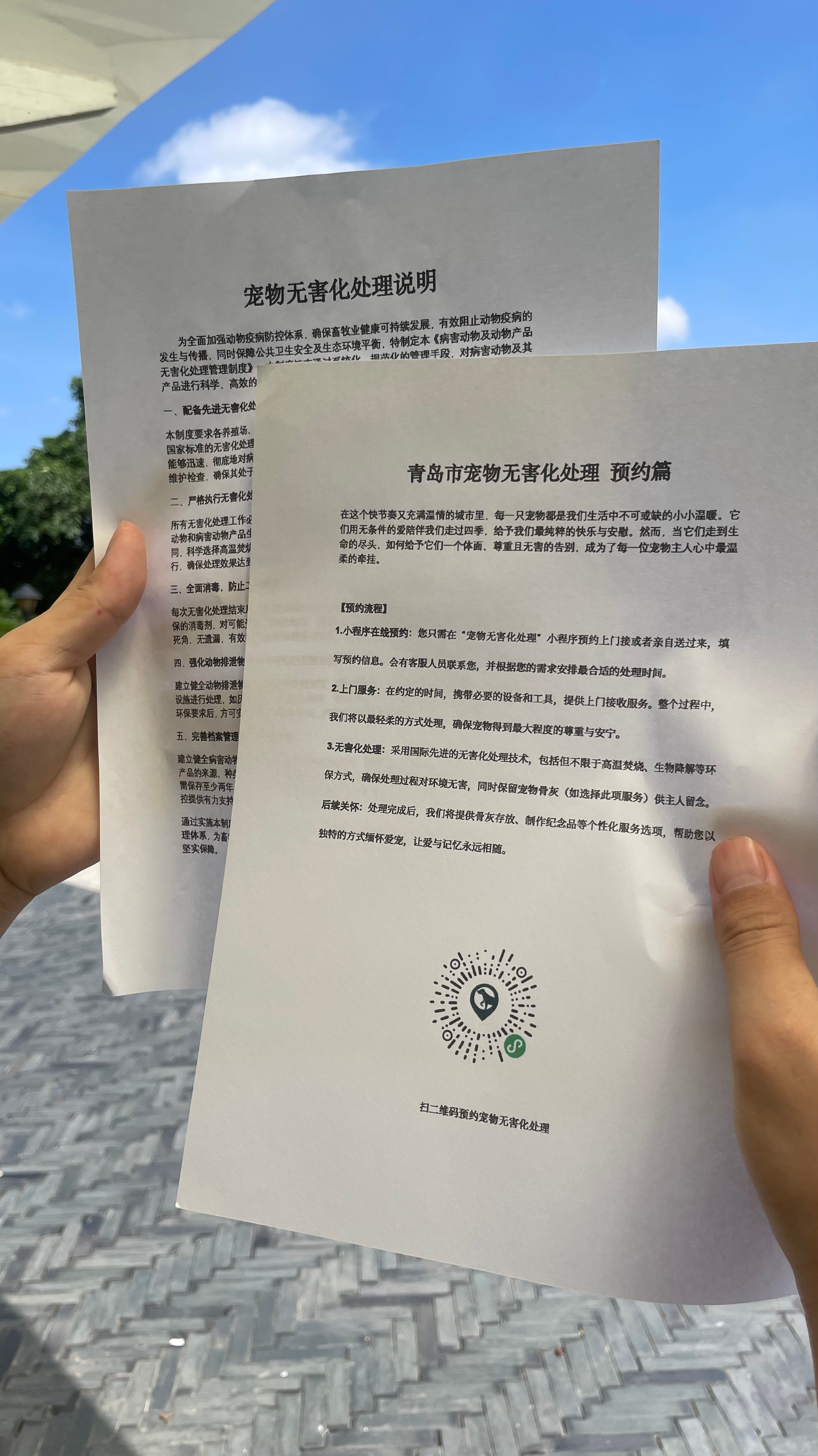 郎溪宠物无害化处理