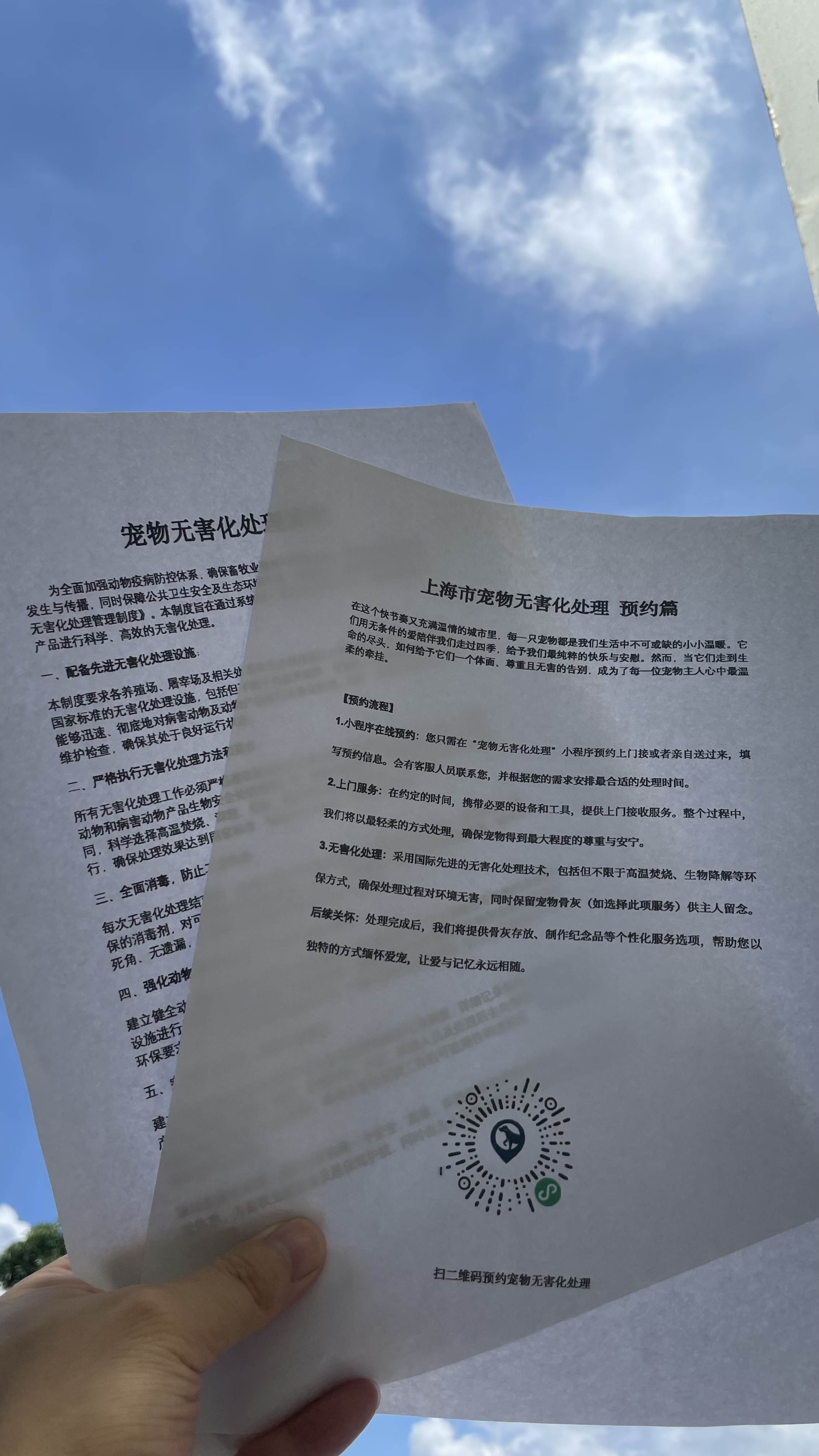 郎溪宠物无害化