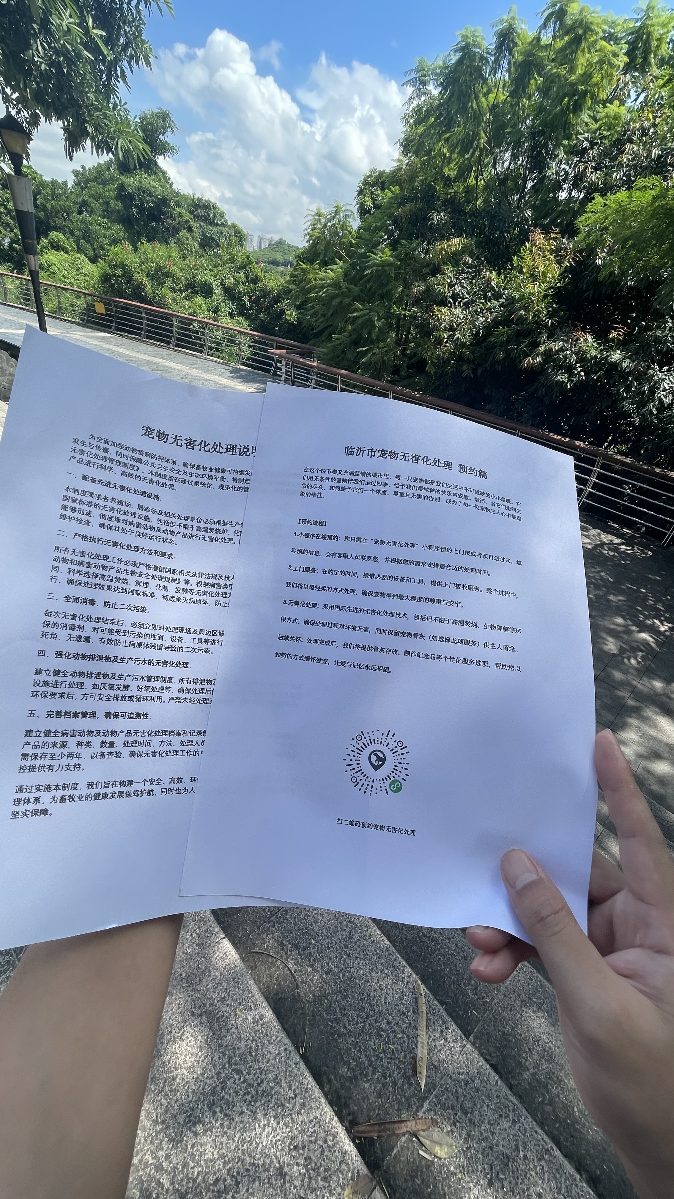郎溪宠物无害化处理流程