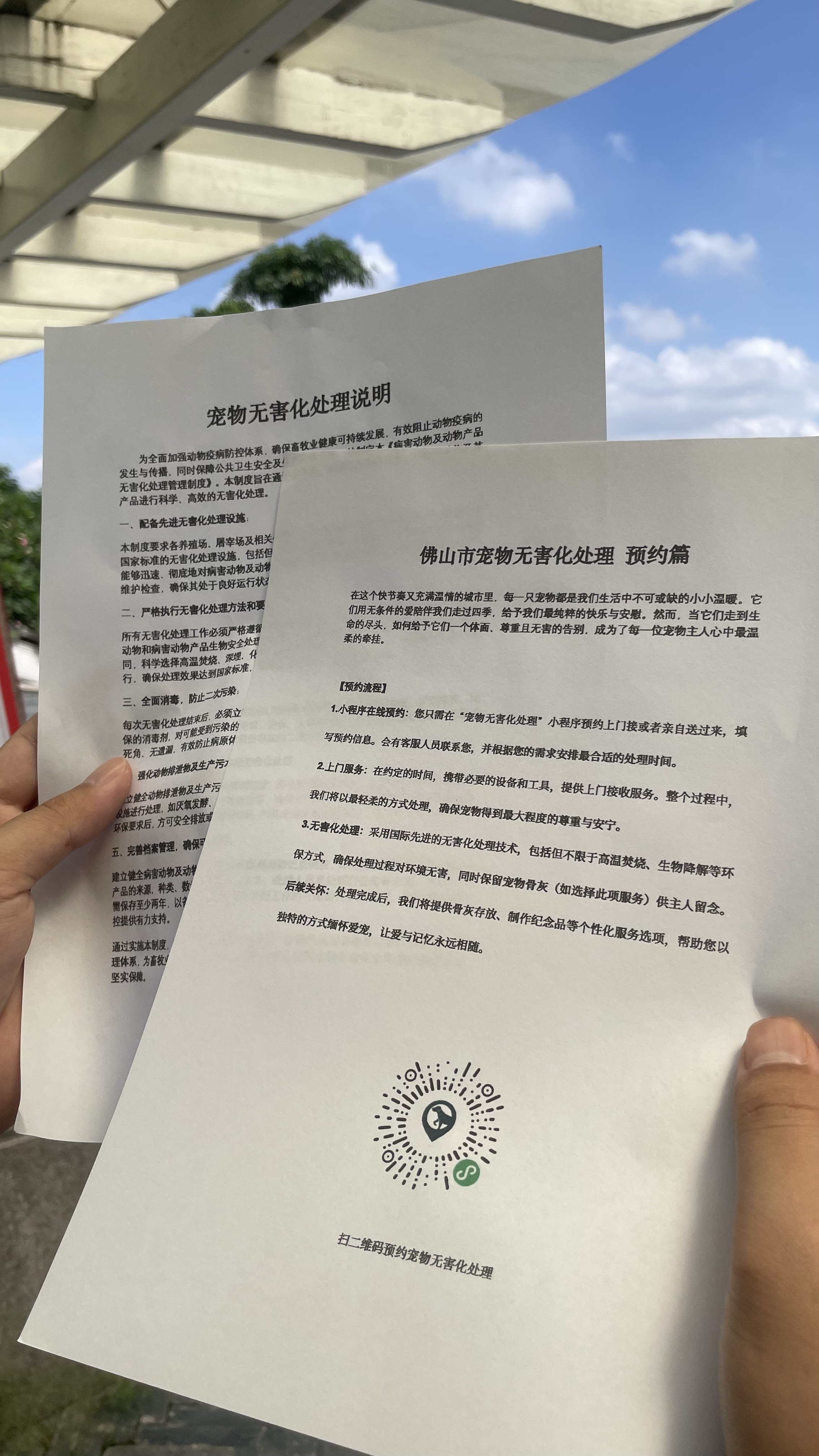 三亚宠物无害化处理