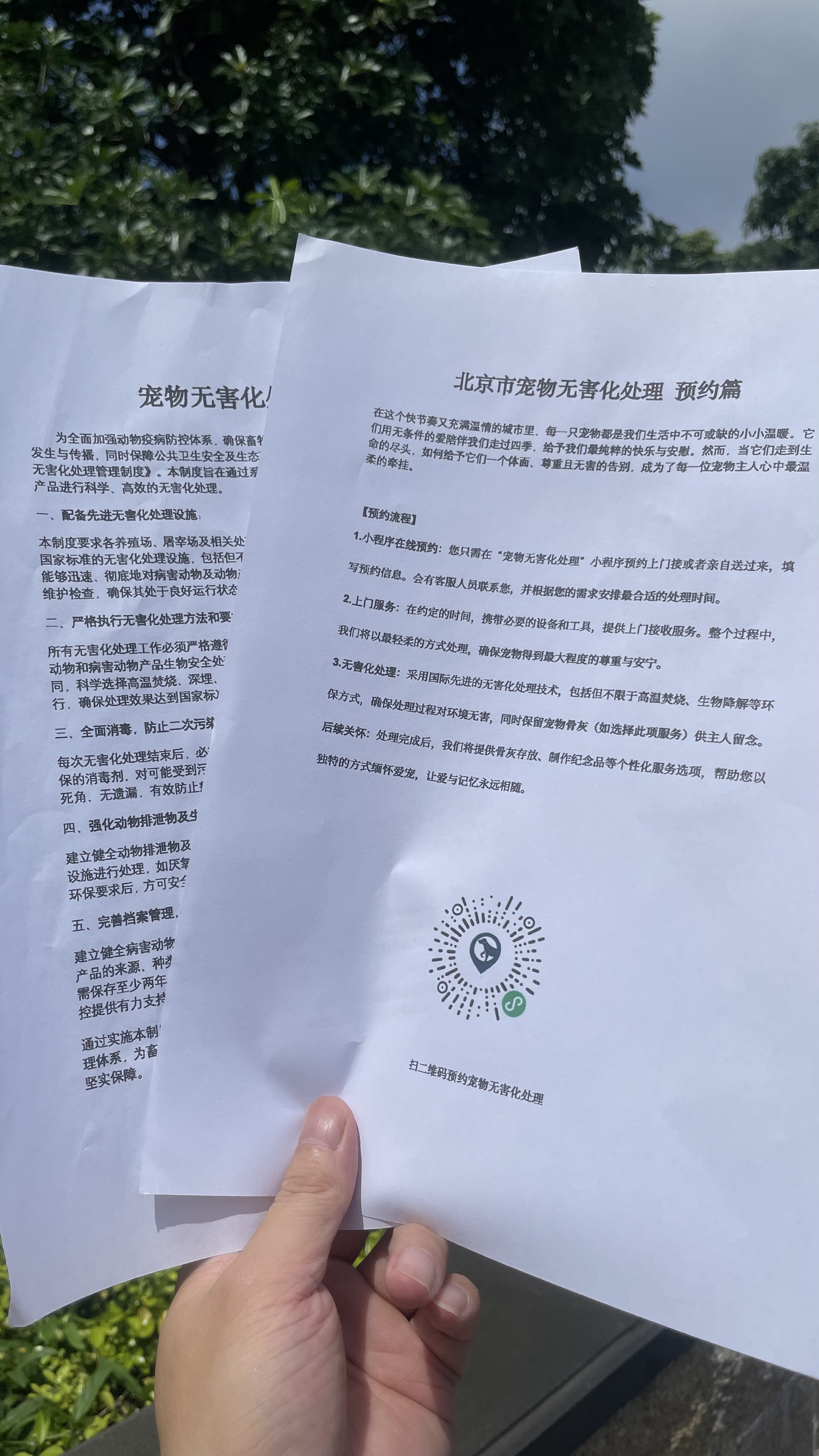 福州宠物无害化处理