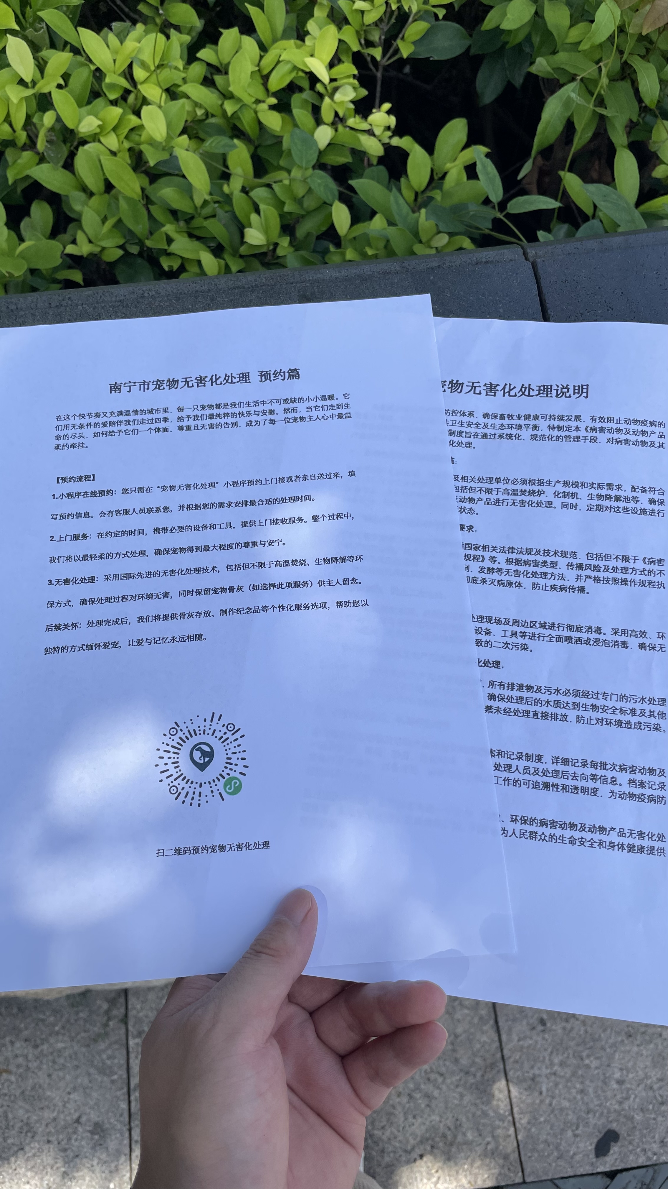 怀宁宠物无害化