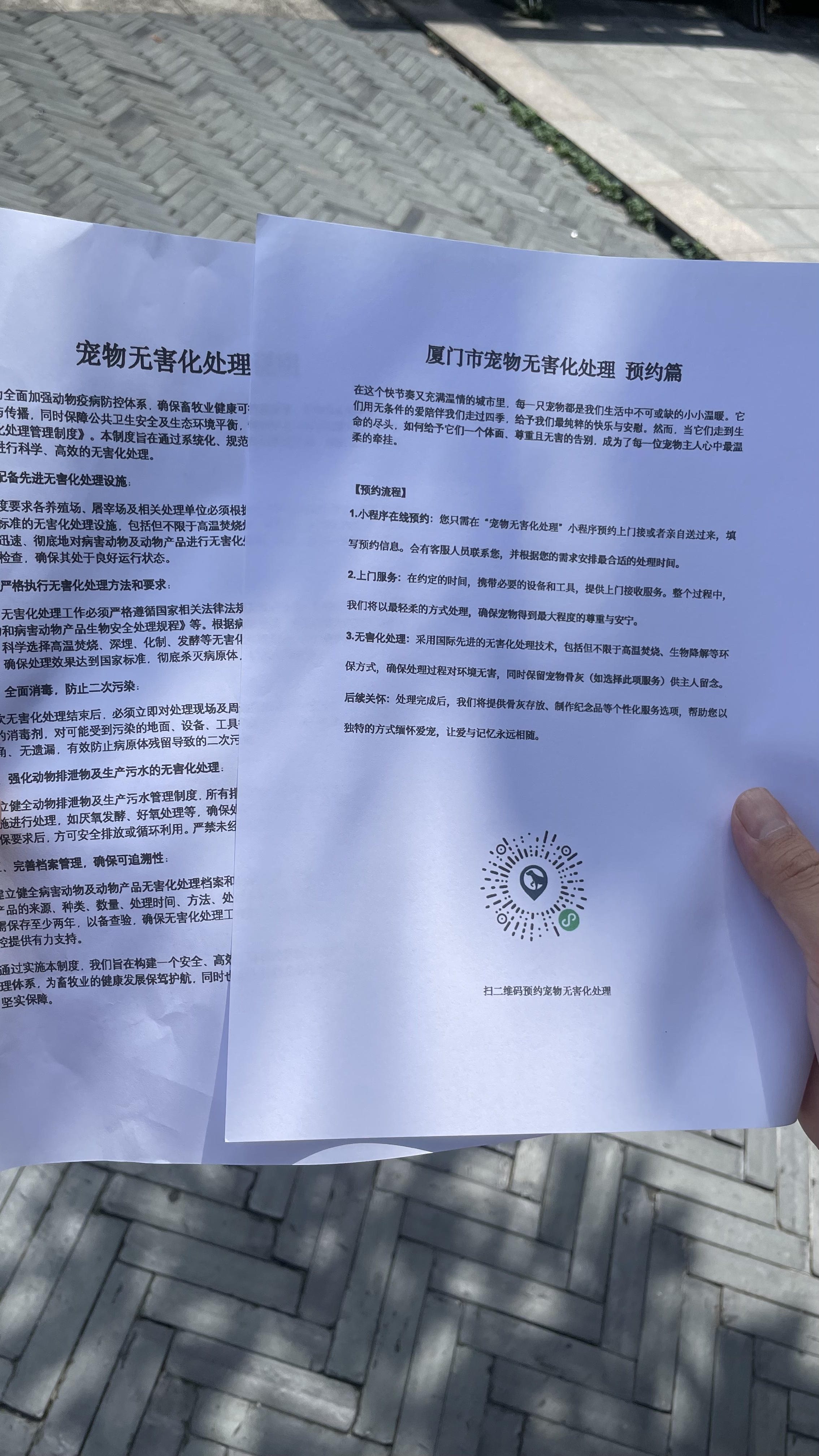 怀宁宠物无害化处理流程