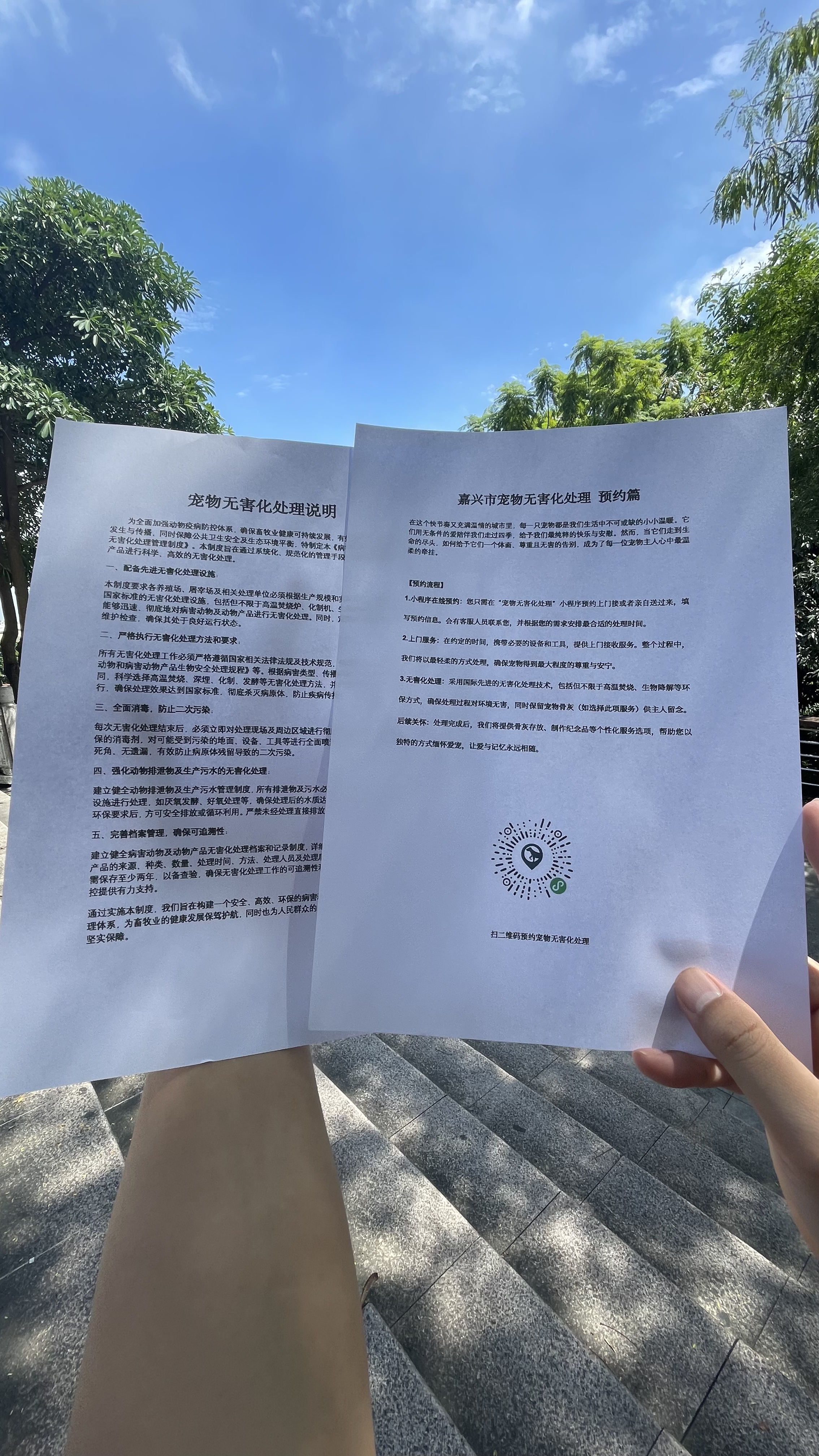 枞阳宠物无害化处理