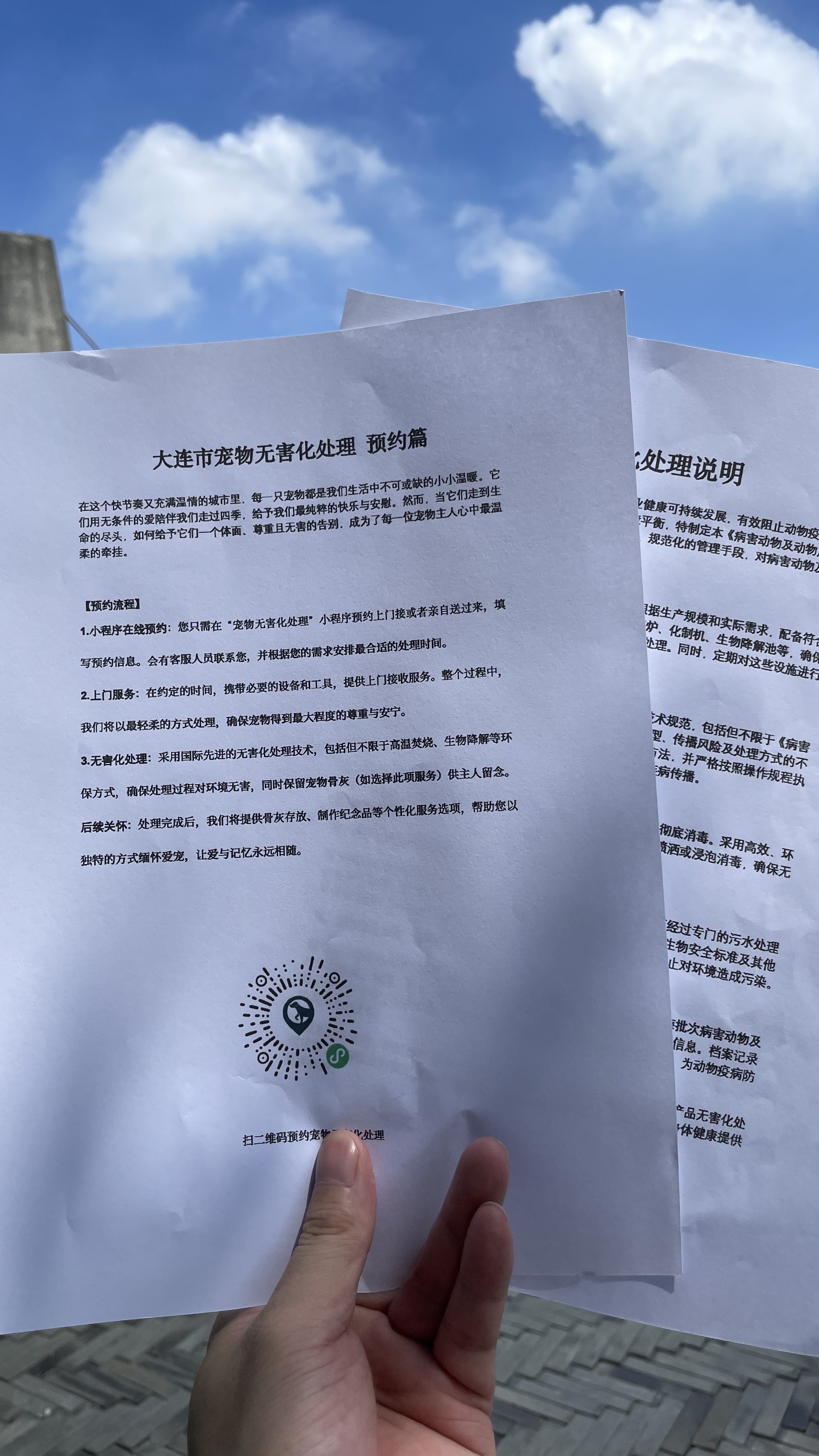 枞阳宠物无害化