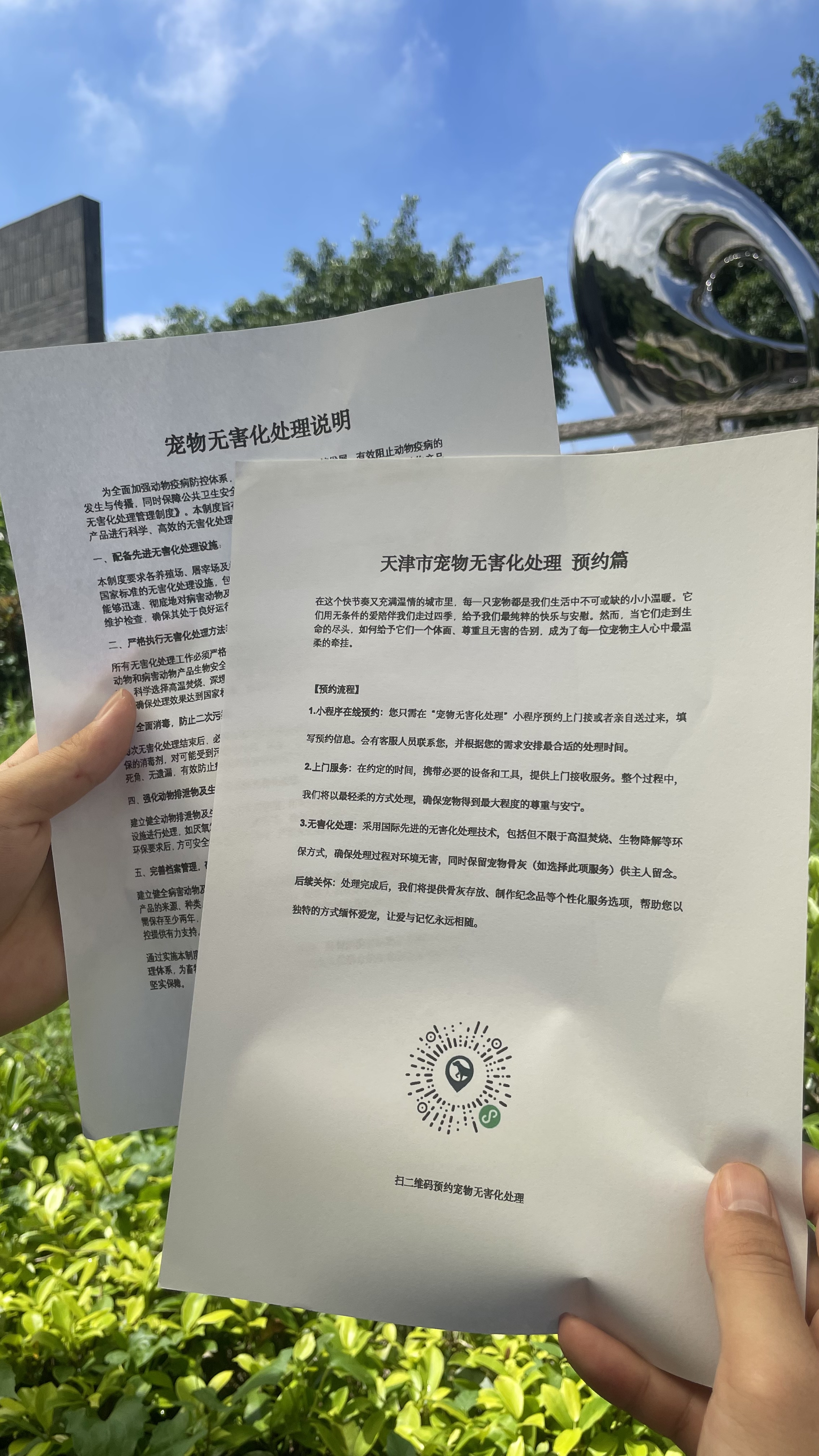 枞阳宠摆渡服务