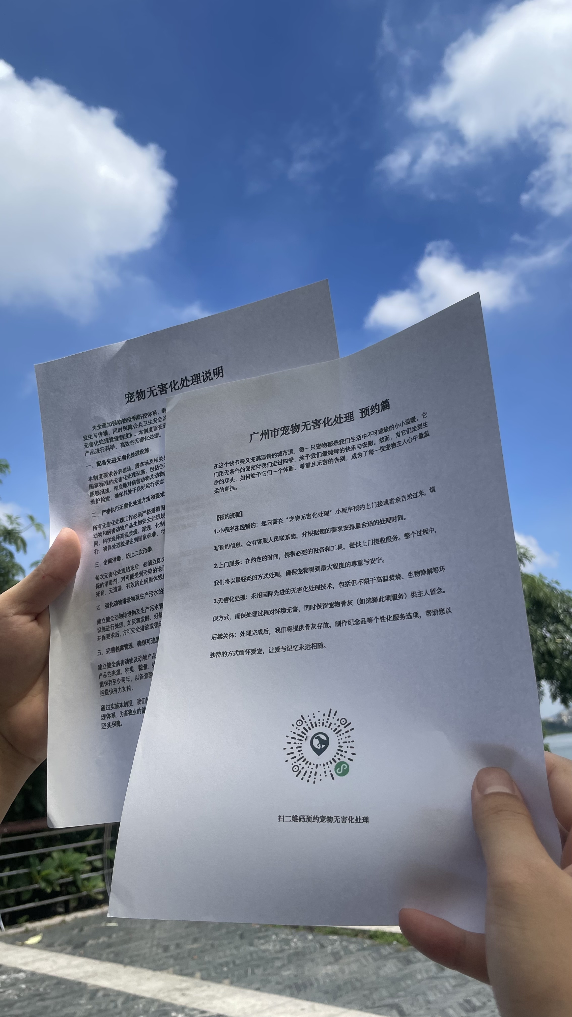 枞阳宠物告别厅