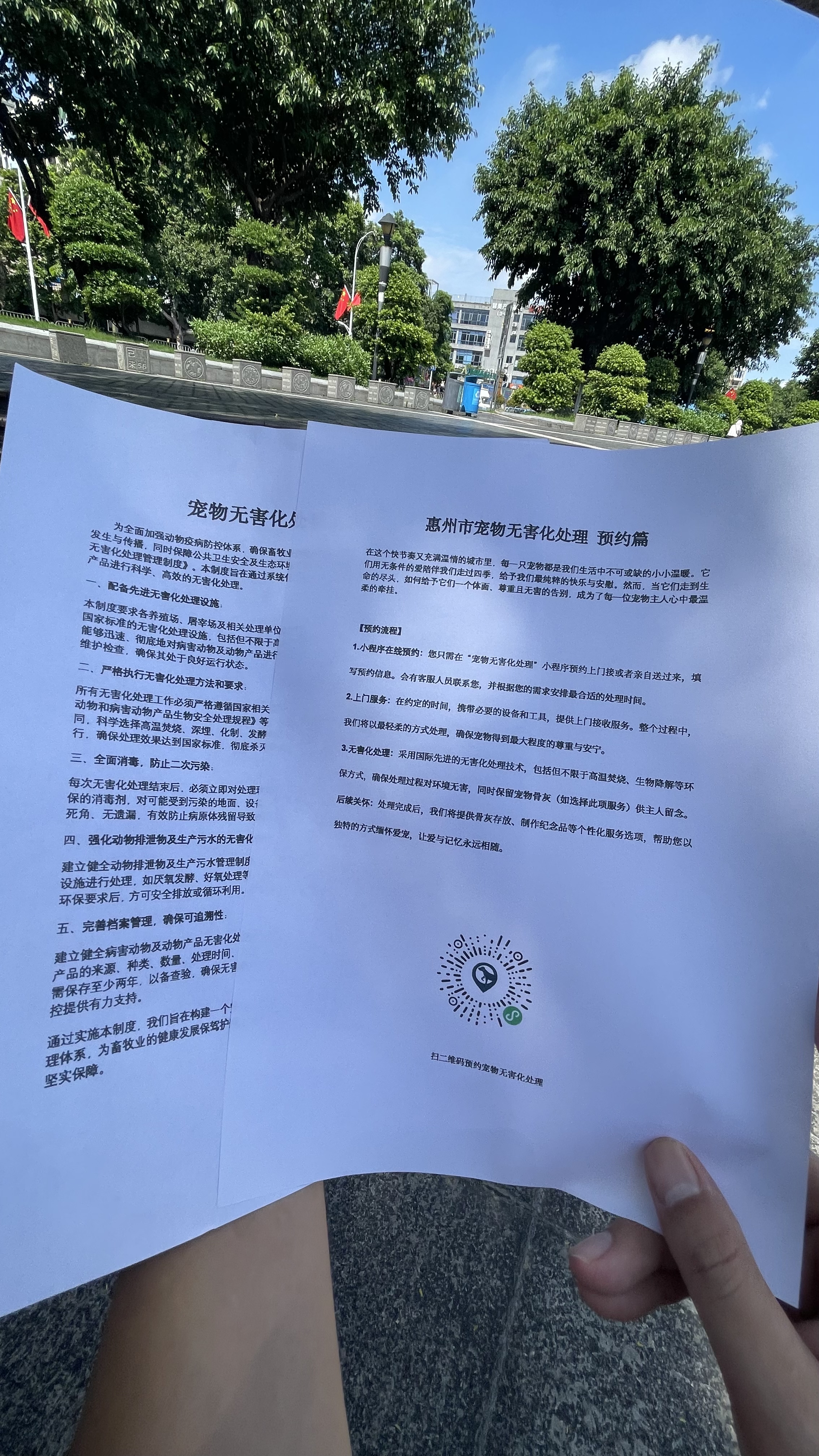 无锡宠物无害化处理