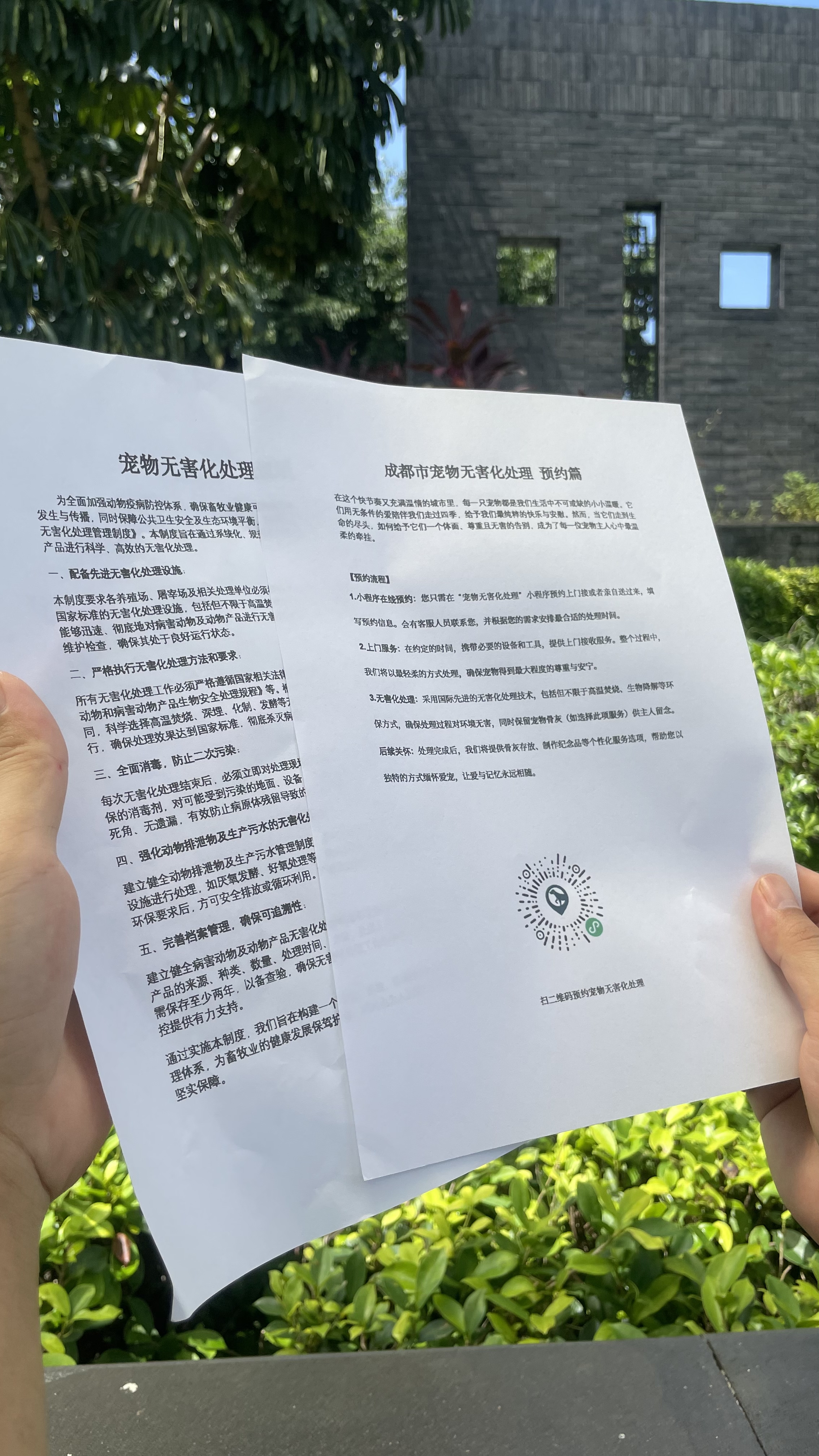 潜山宠摆渡服务