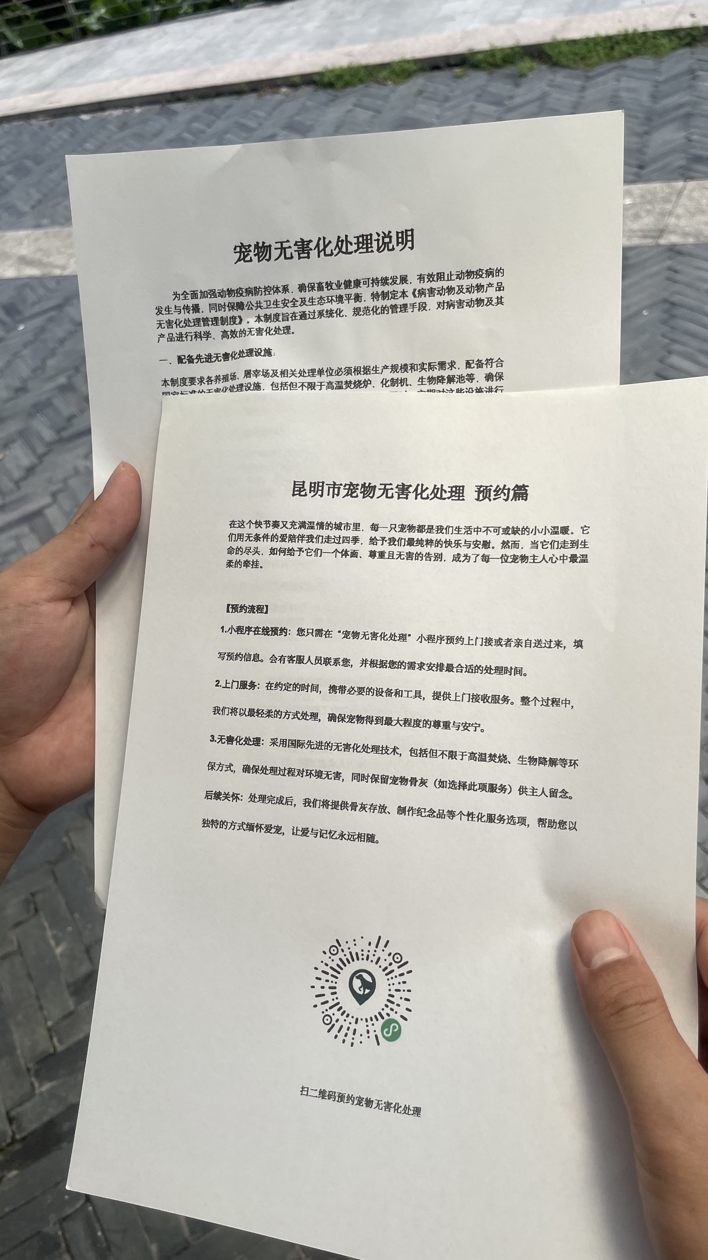 梧州宠物无害化处理