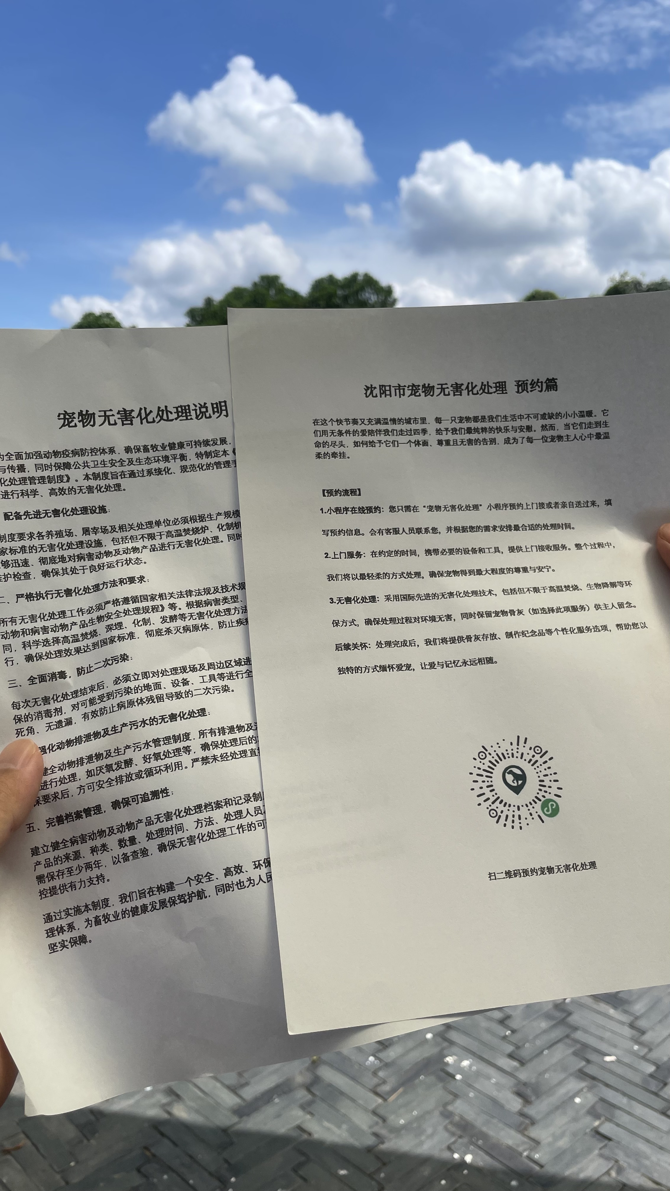 北海宠物无害化处理机构