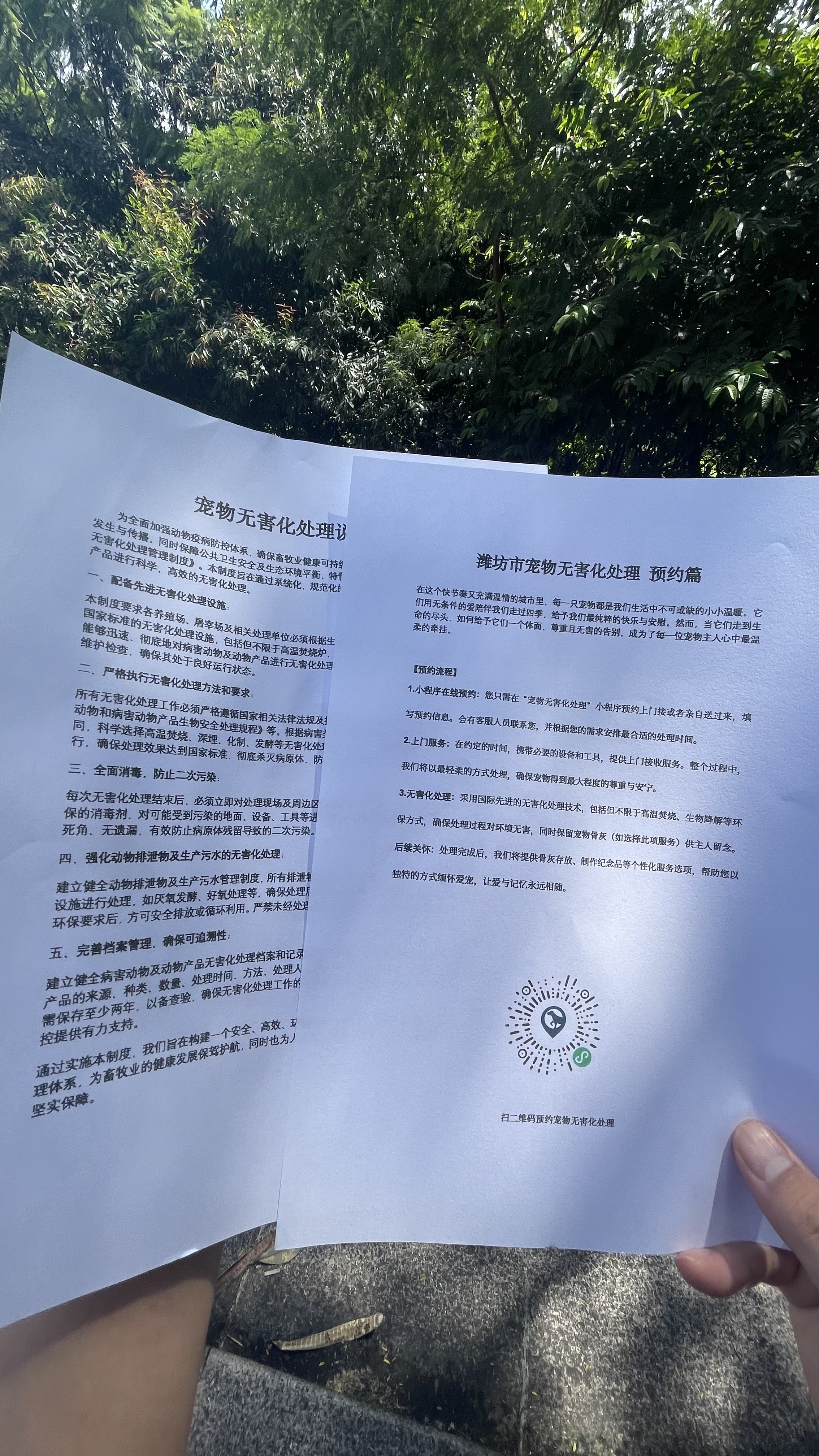 太湖宠物无害化处理流程