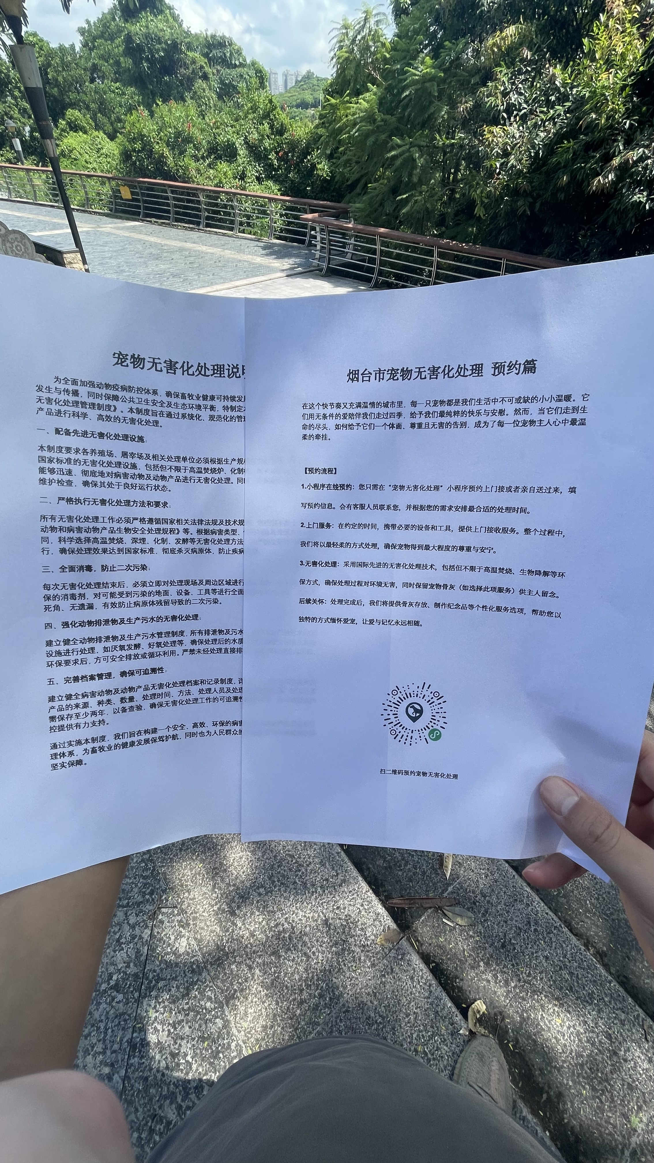 济南宠物无害化处理