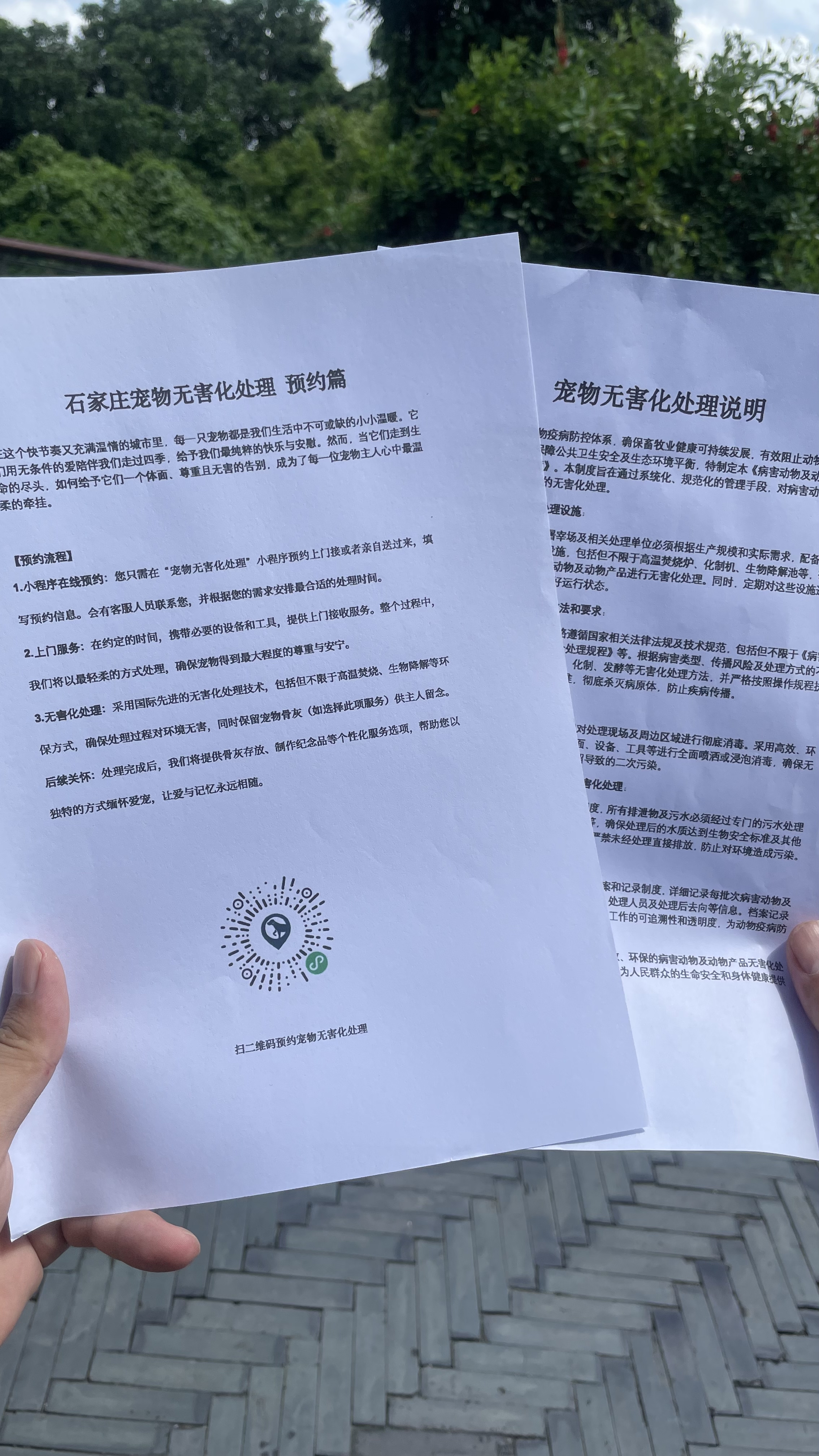 太湖宠物骨灰安置