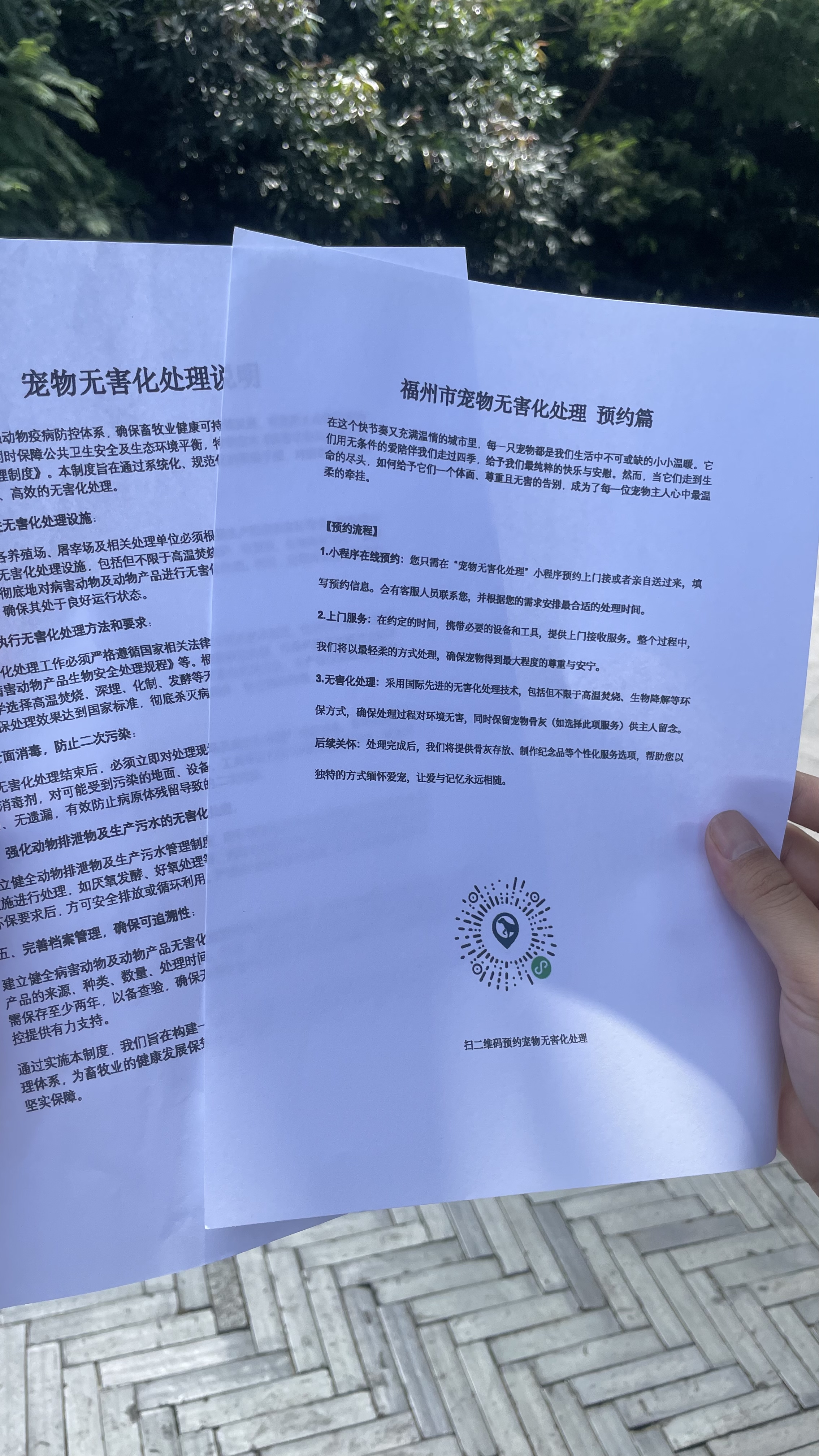 百色宠物无害化处理机构