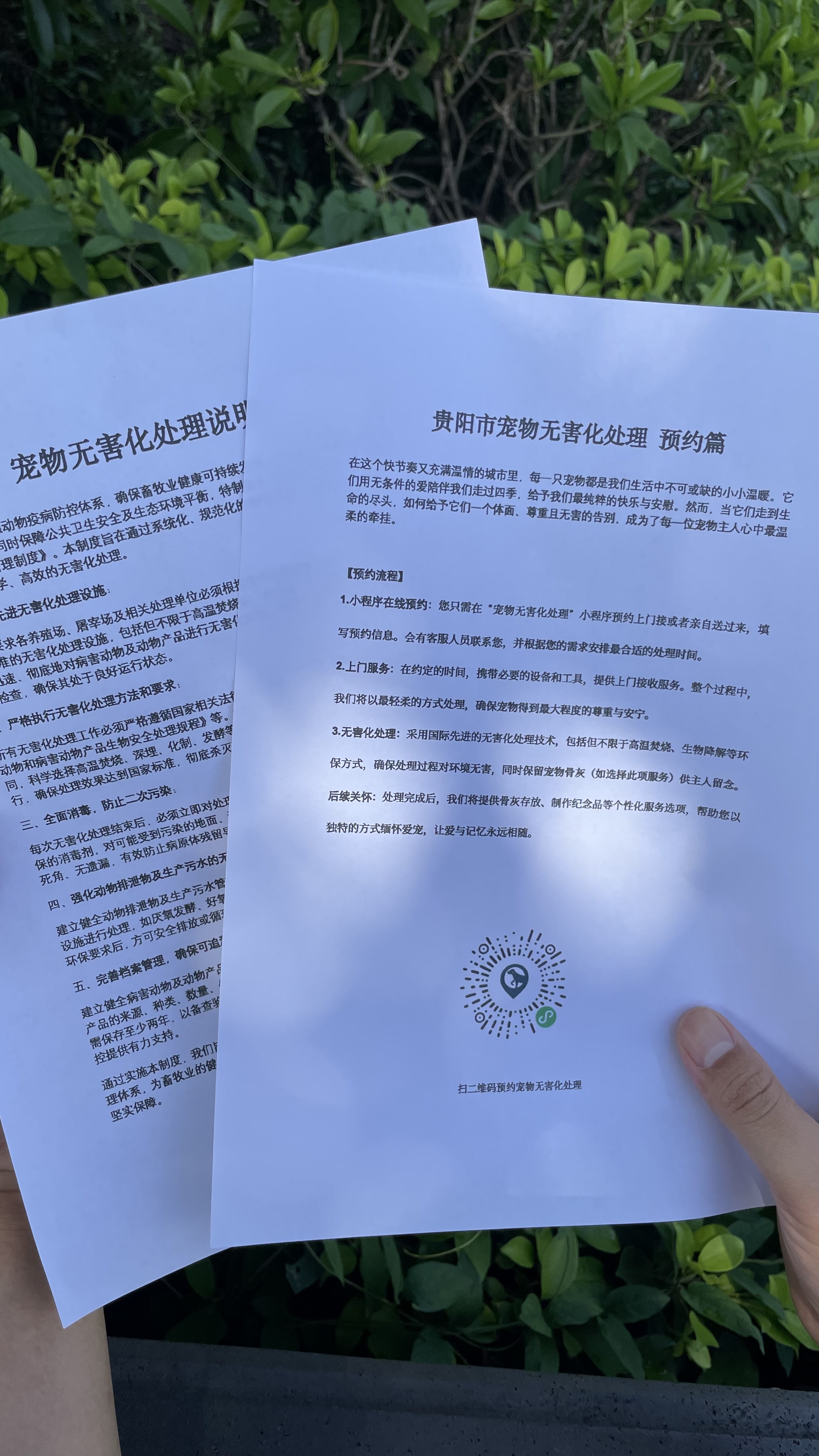 宿松宠物无害化处理流程