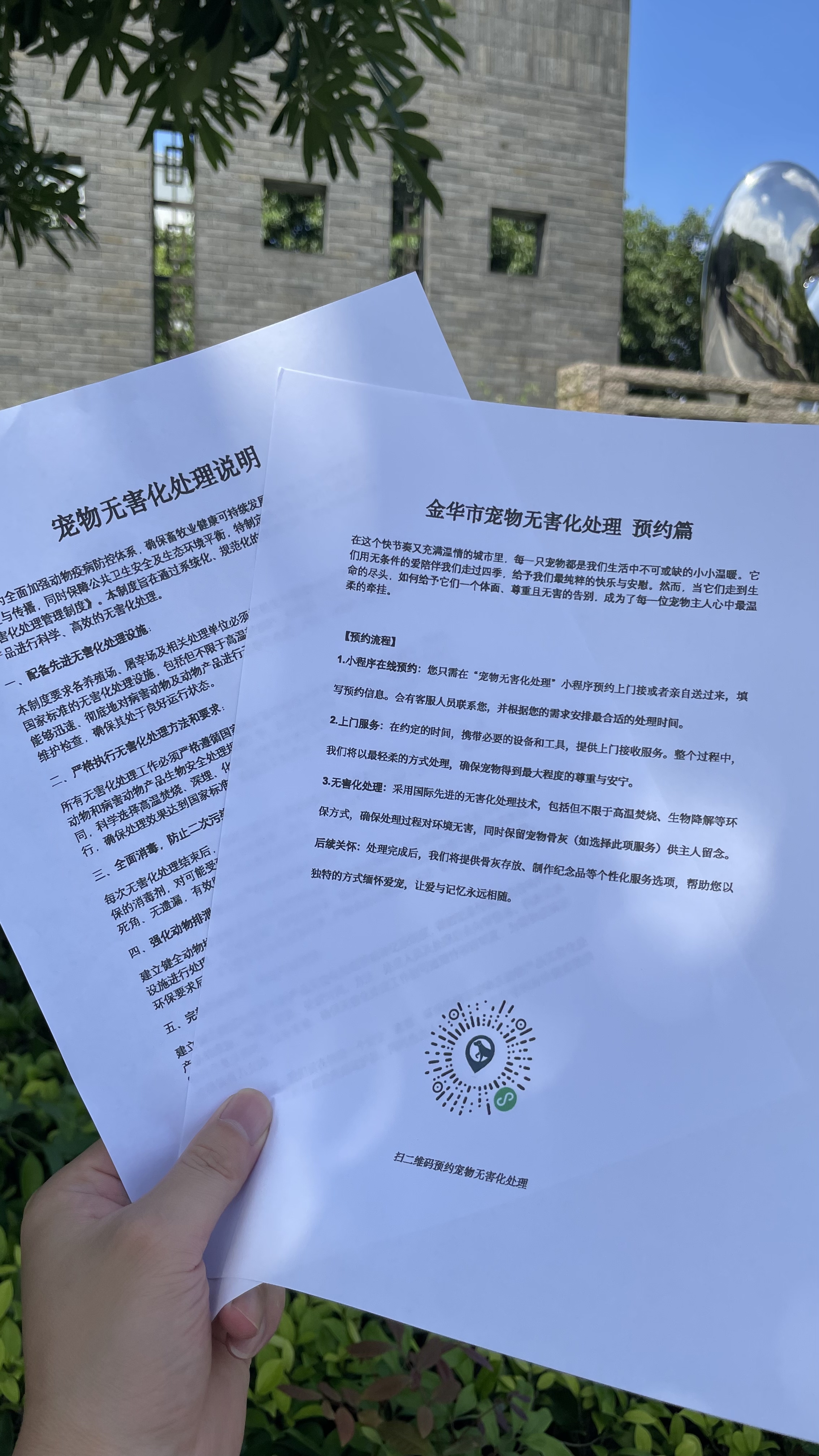 宿松宠物骨灰安置