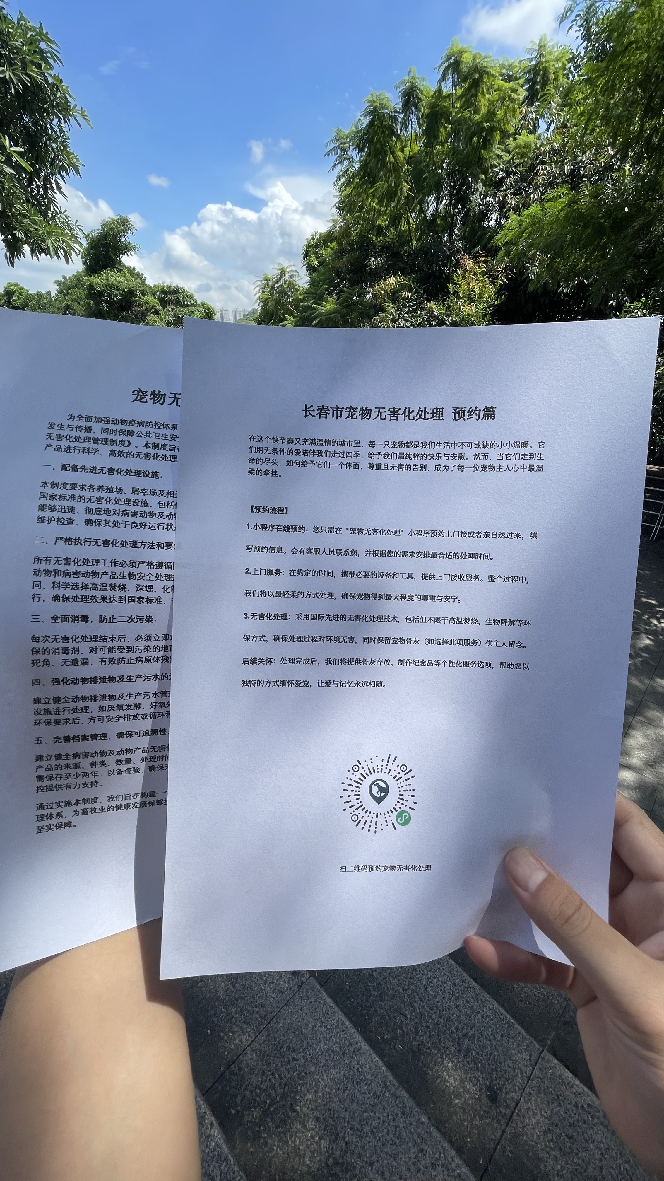 望江宠物无害化处理