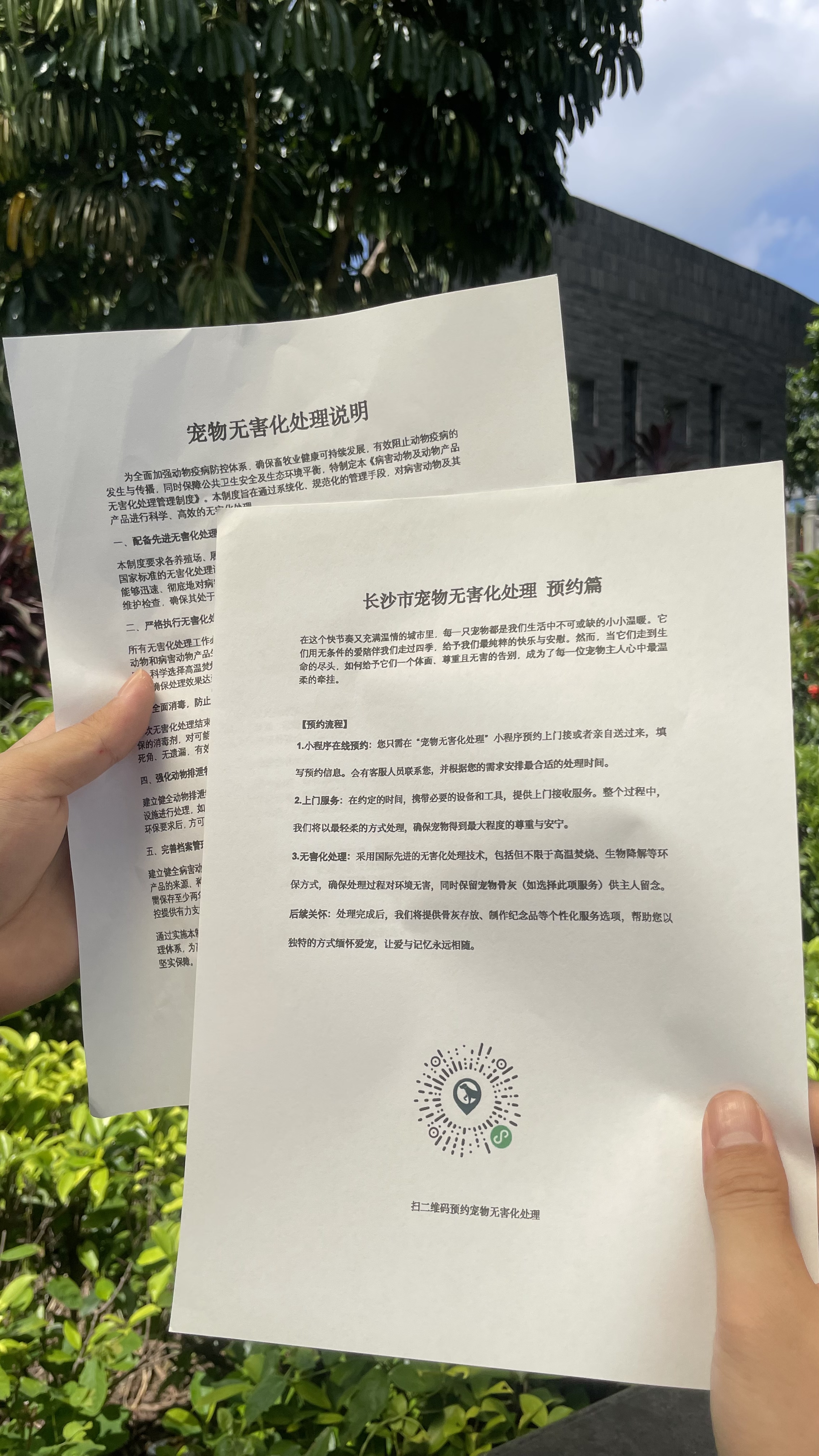 望江宠物无害化
