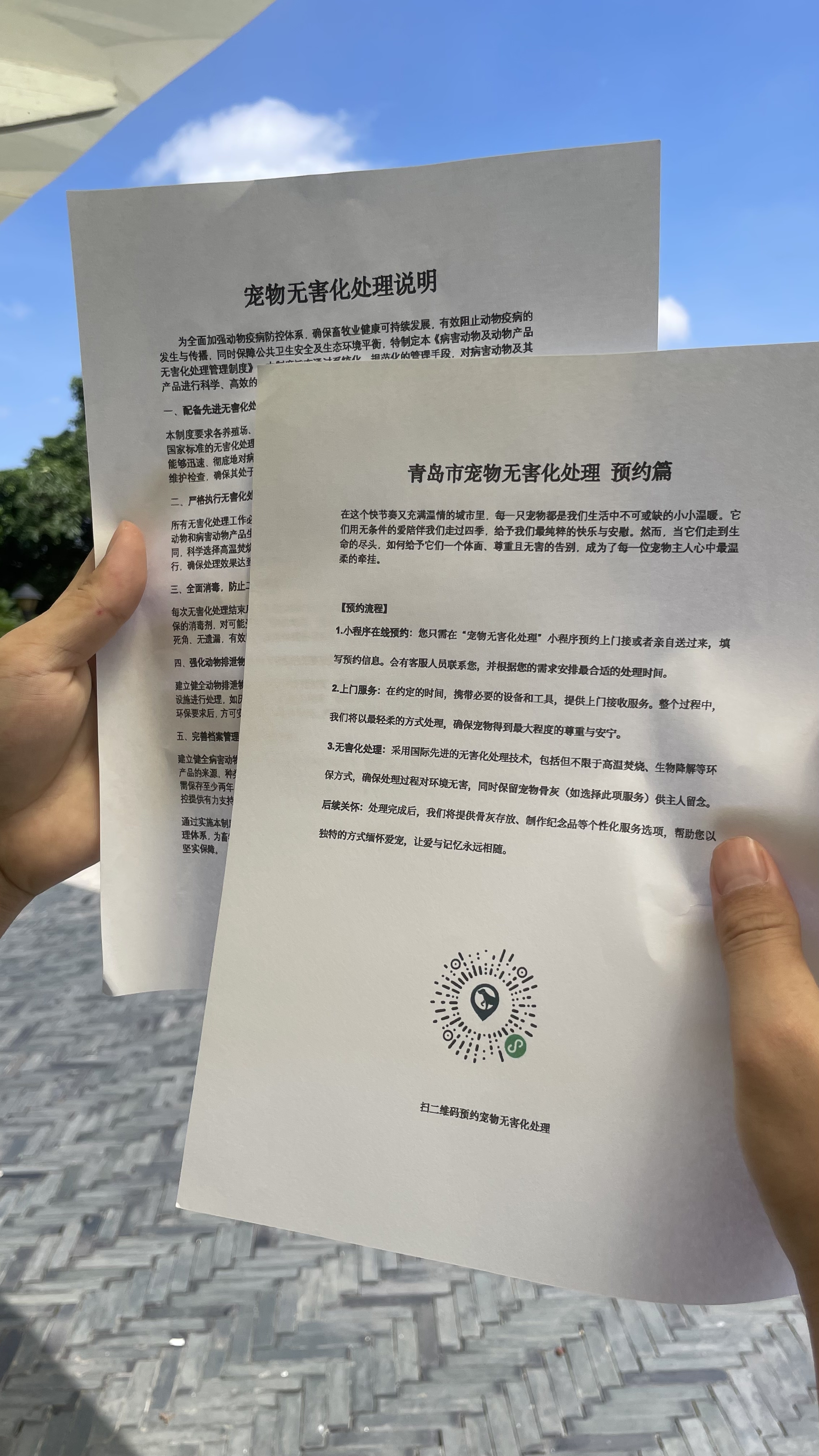 望江宠摆渡服务