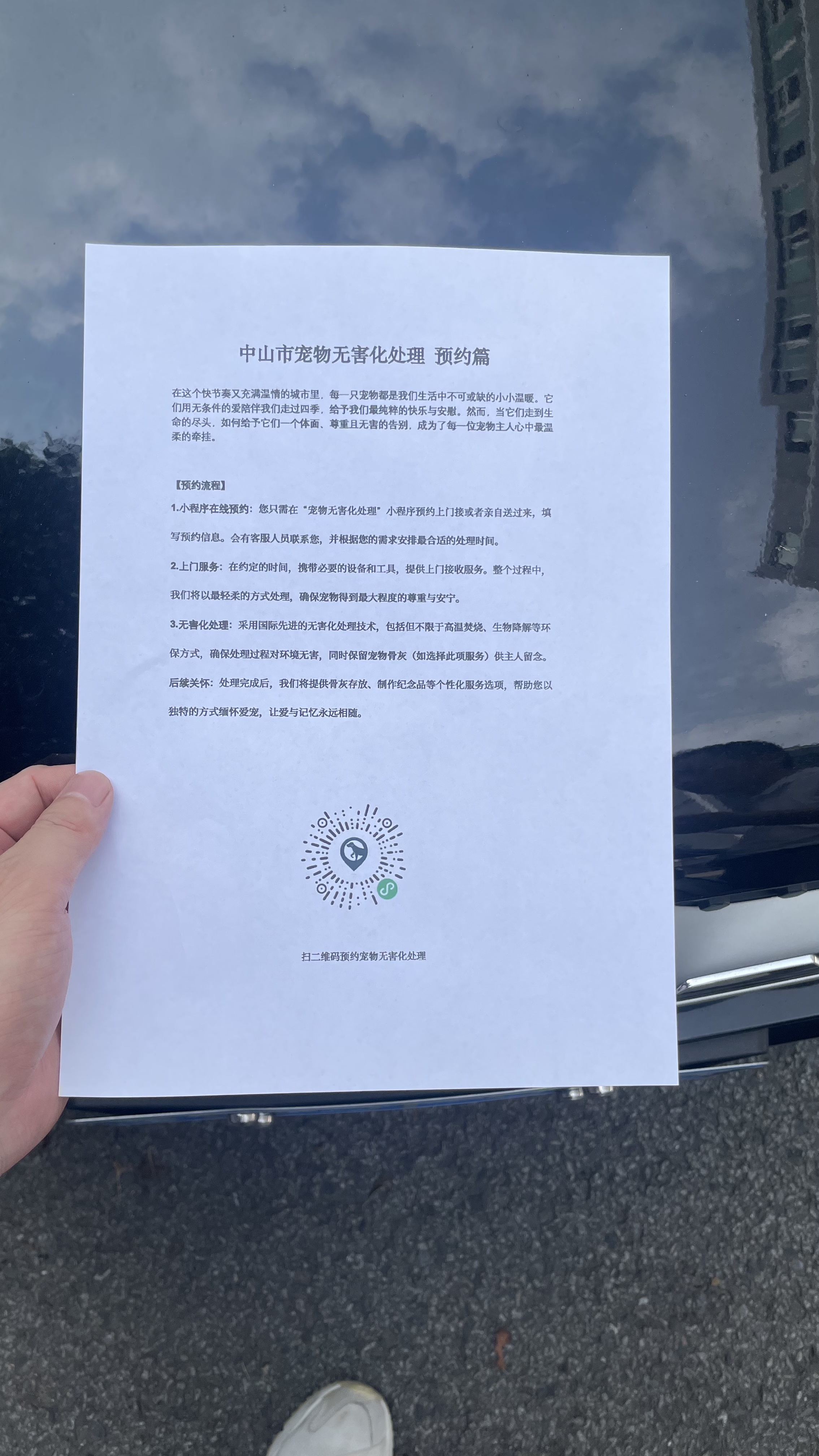 南京宠物遗体规范处理
