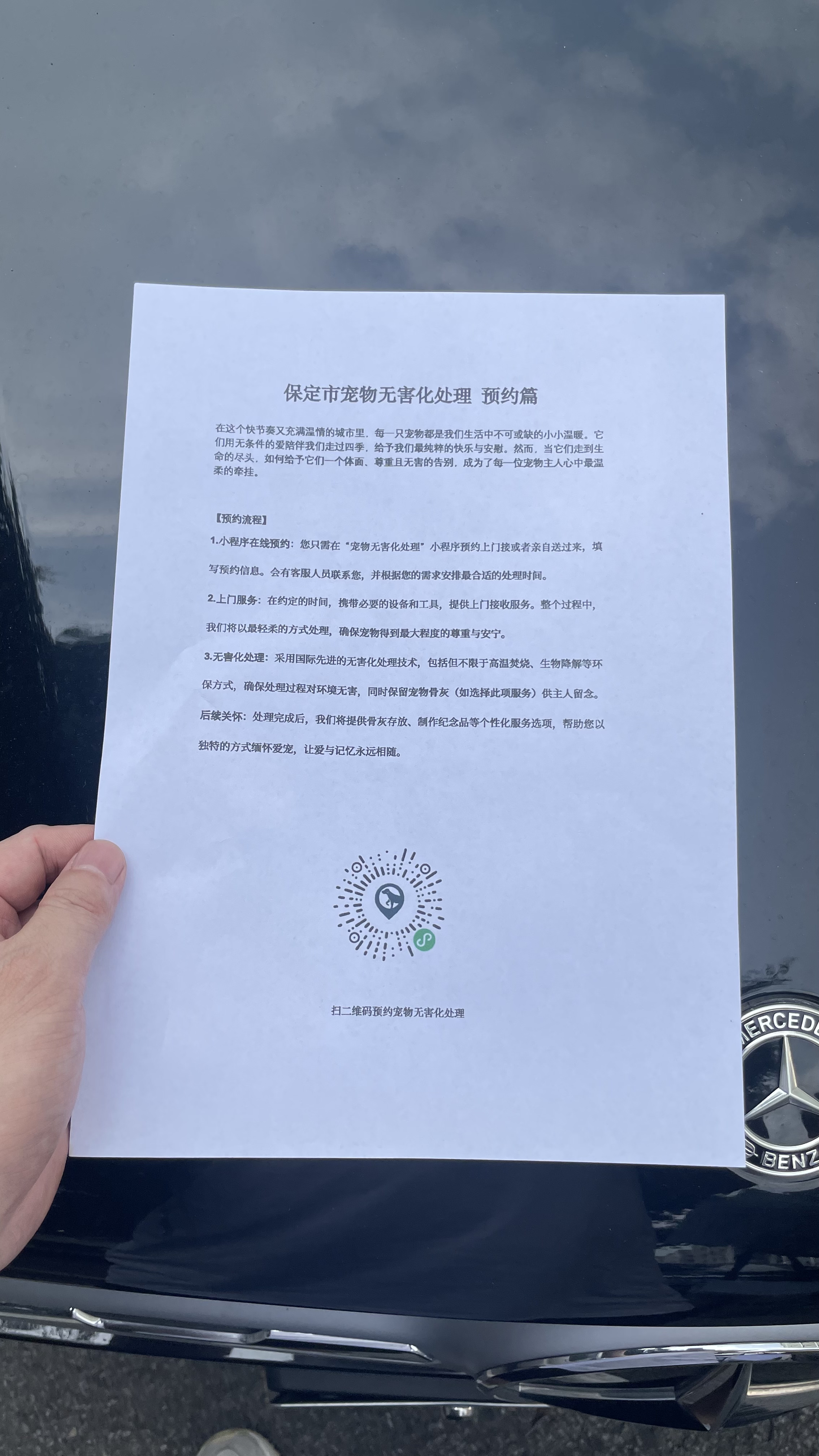 岳西宠物无害化处理
