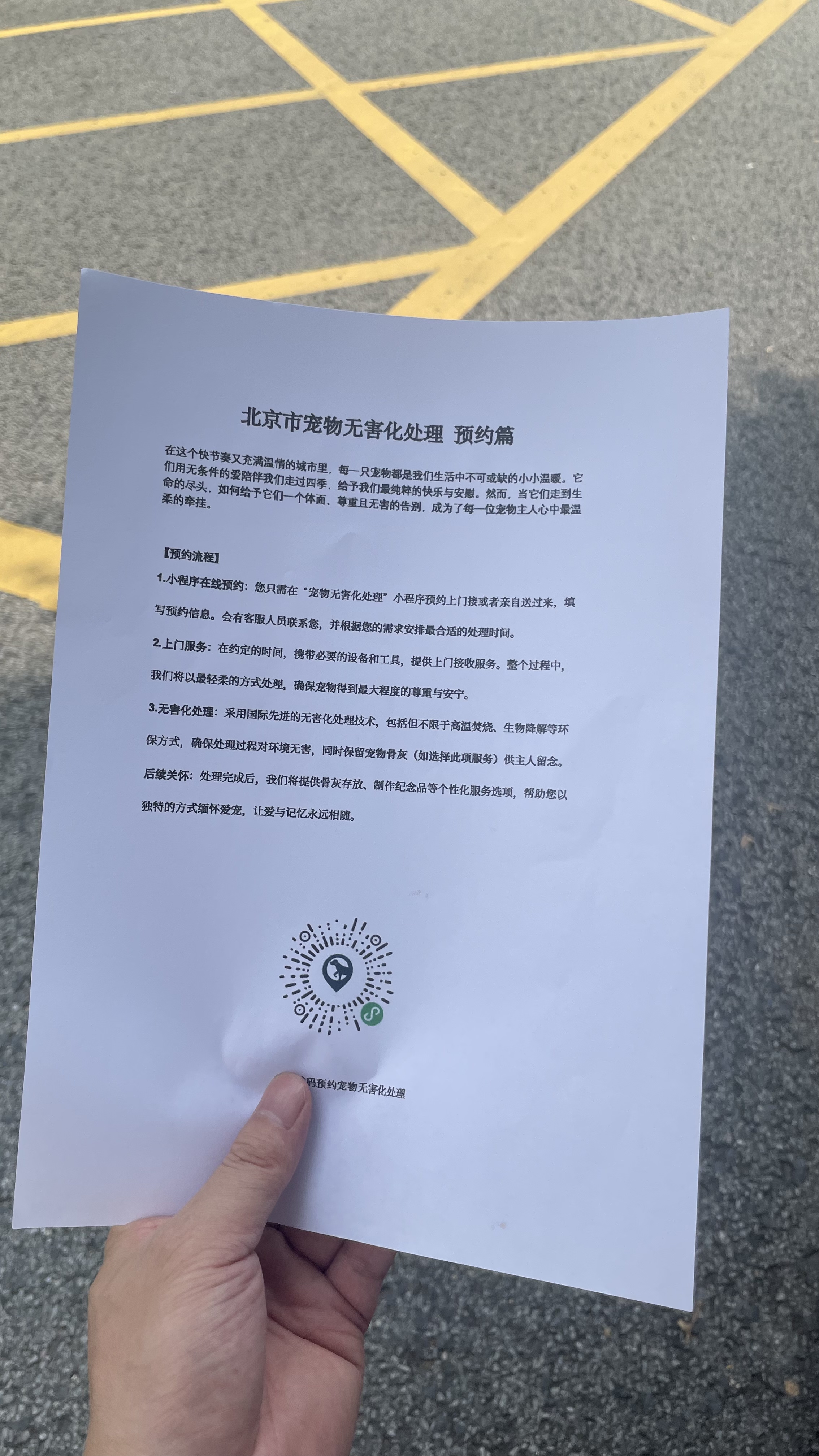 宜昌宠物无害化处理机构