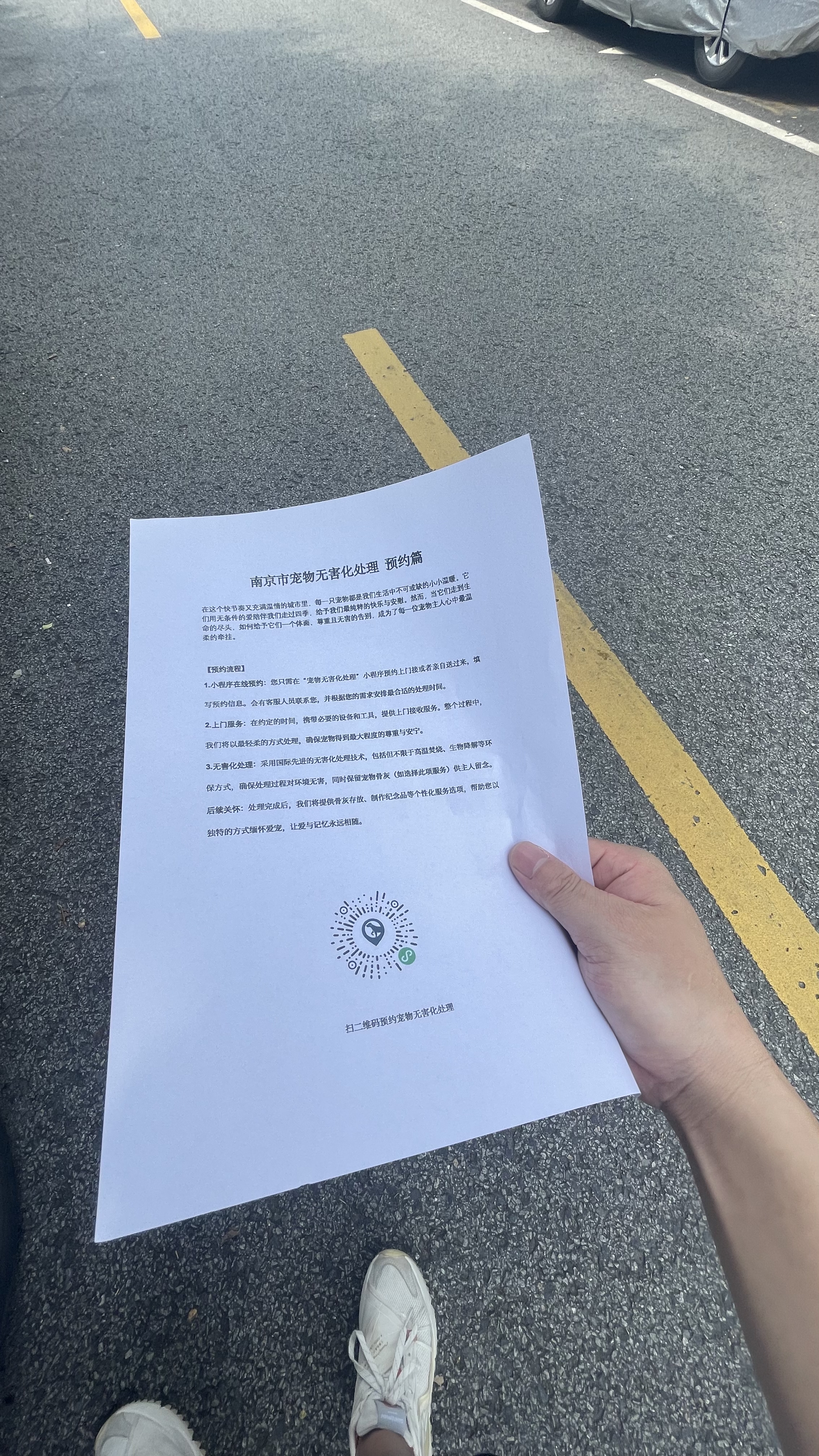 岳西宠摆渡服务