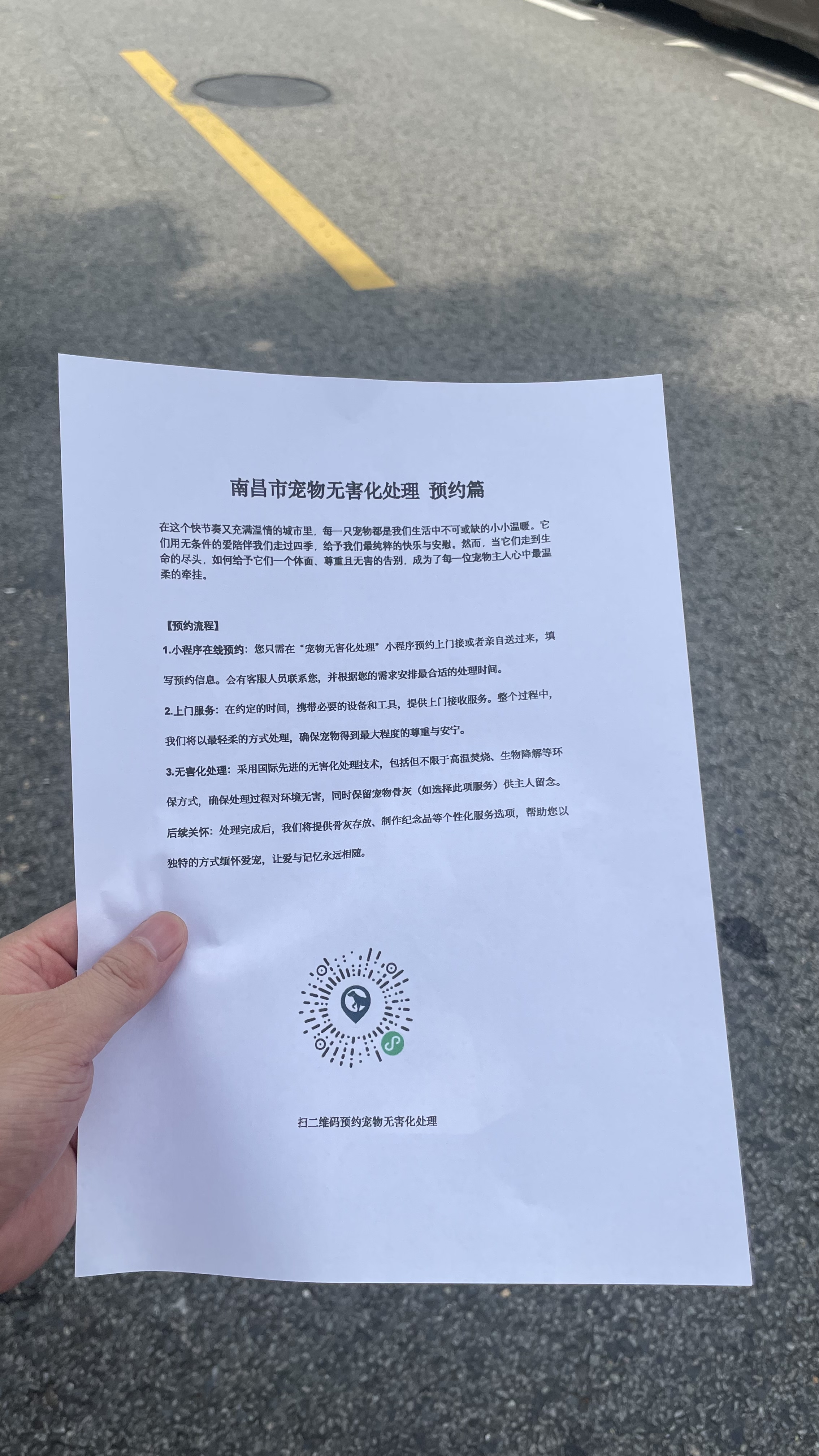 阳江宠物无害化处理