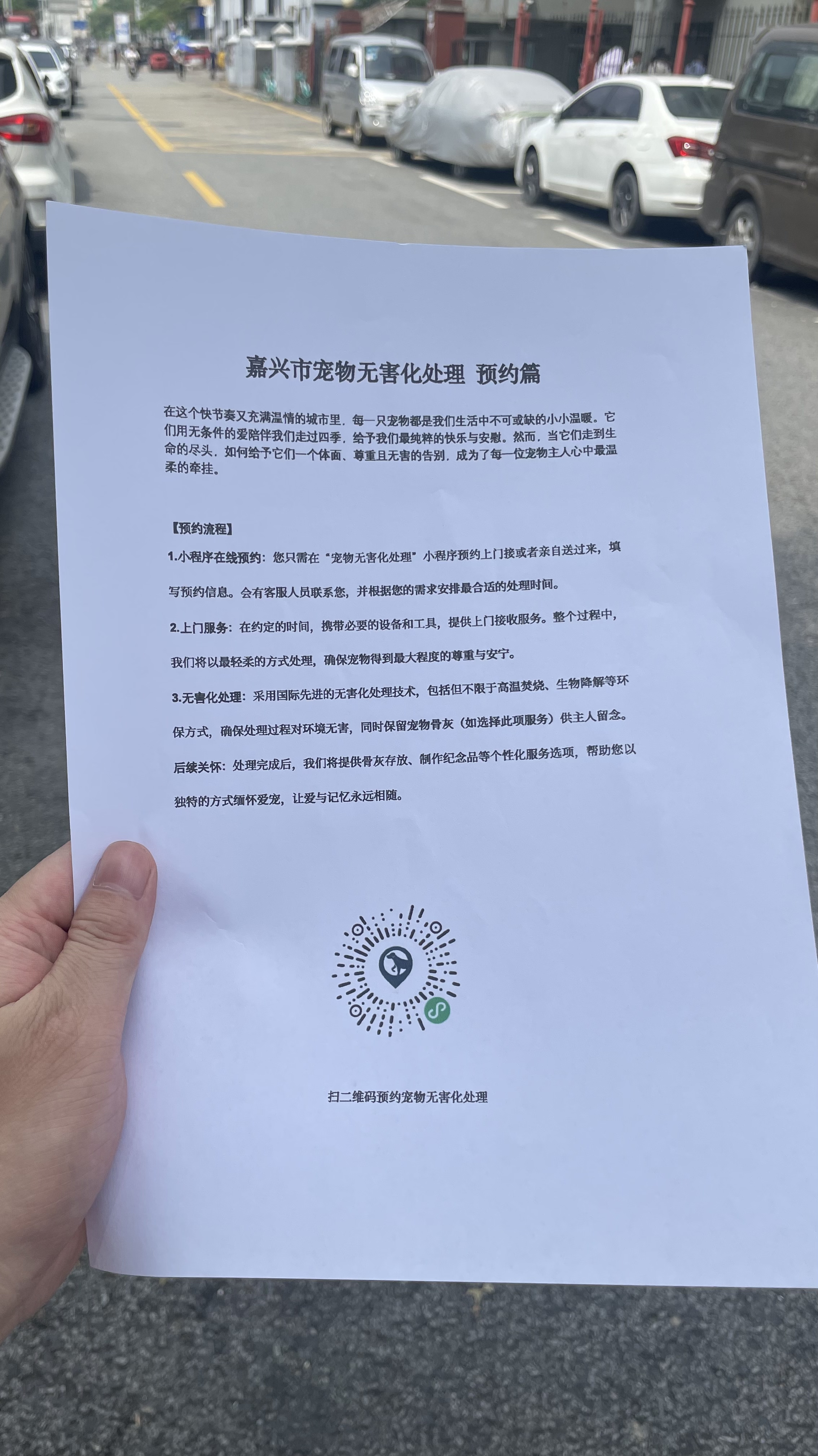 桐城宠摆渡服务