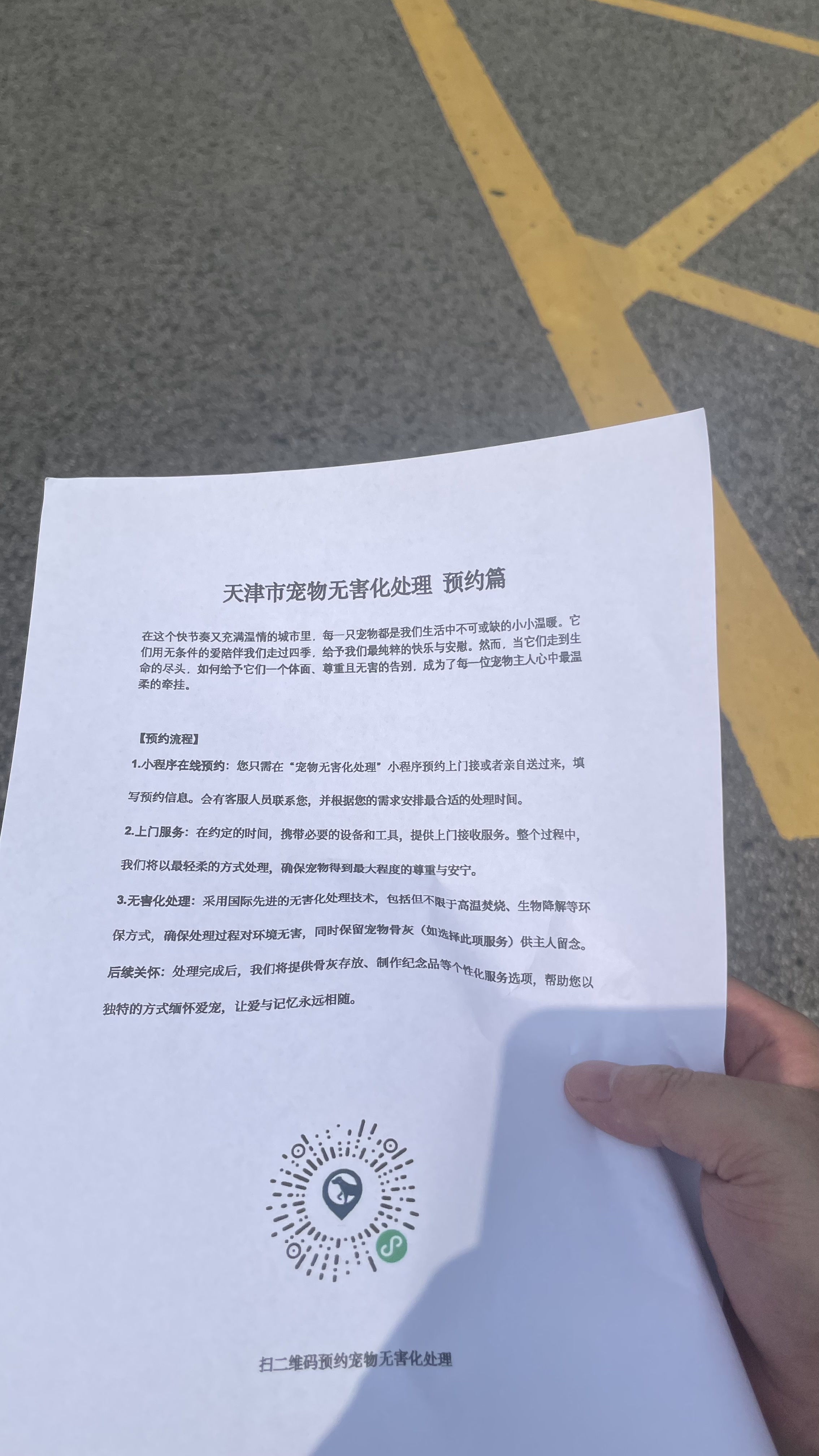 桐城宠物无害化处理流程
