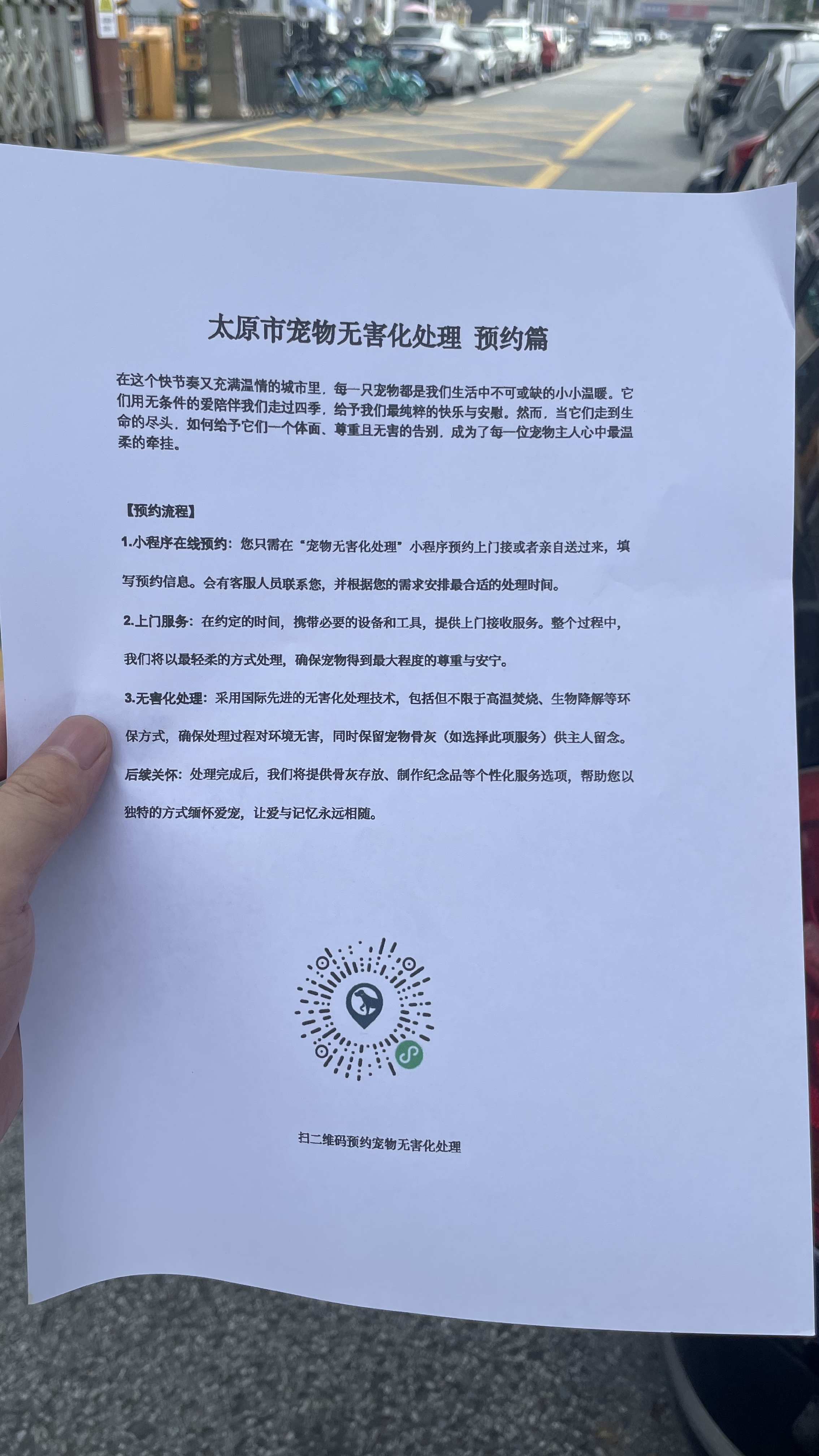 桐城宠物接运服务