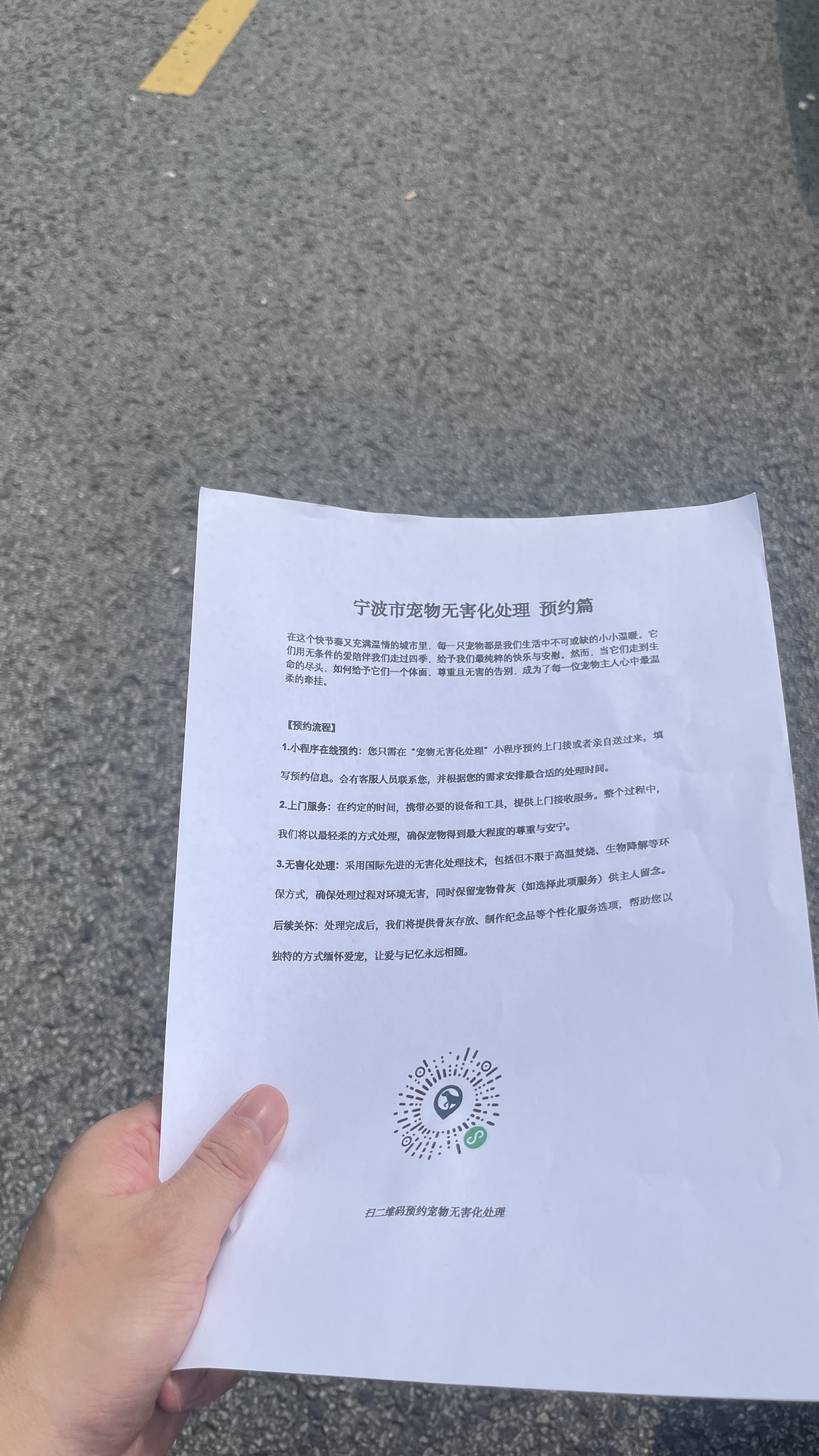 天津宠物遗体规范处理