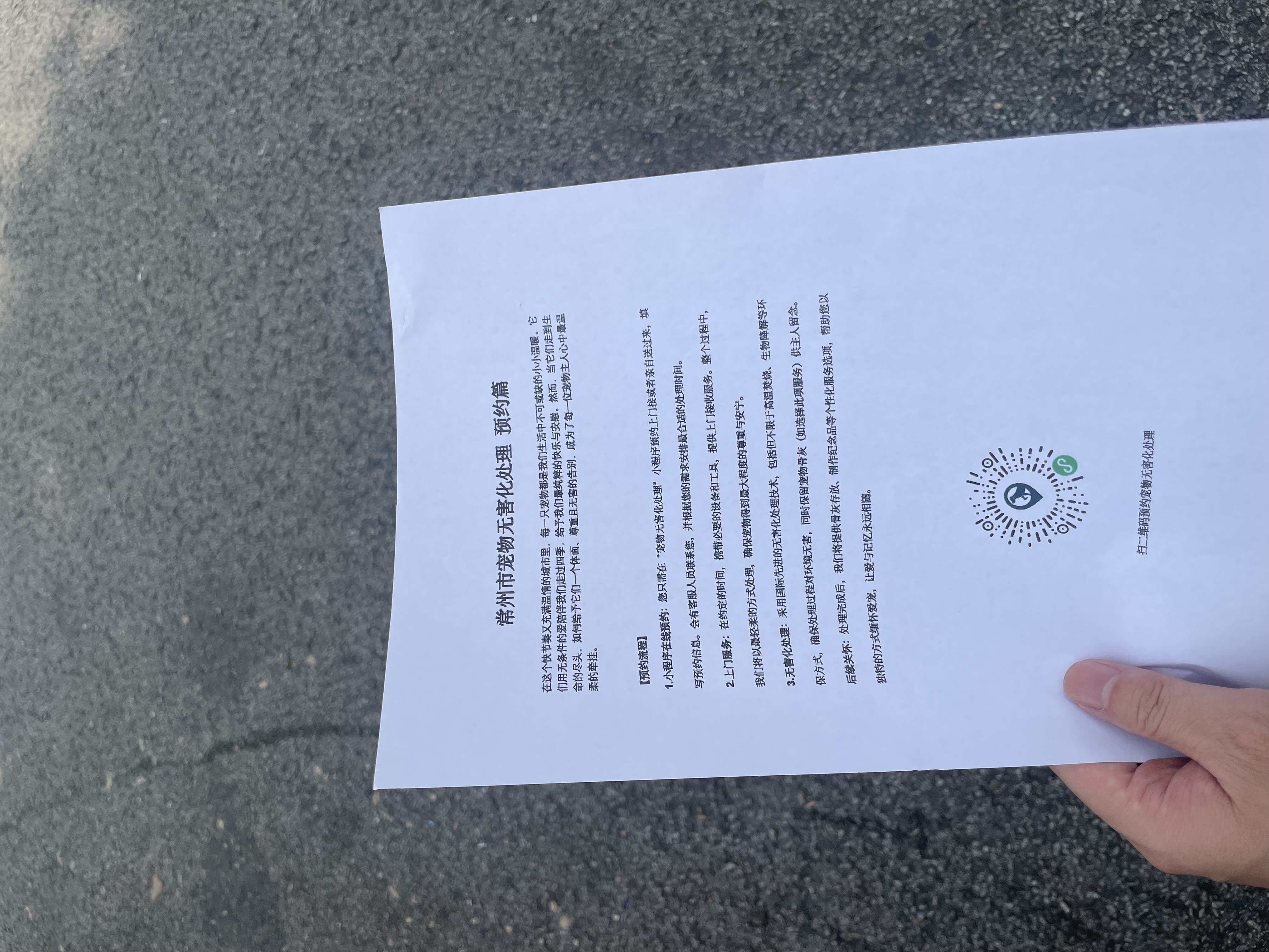 桐城宠物骨灰安置