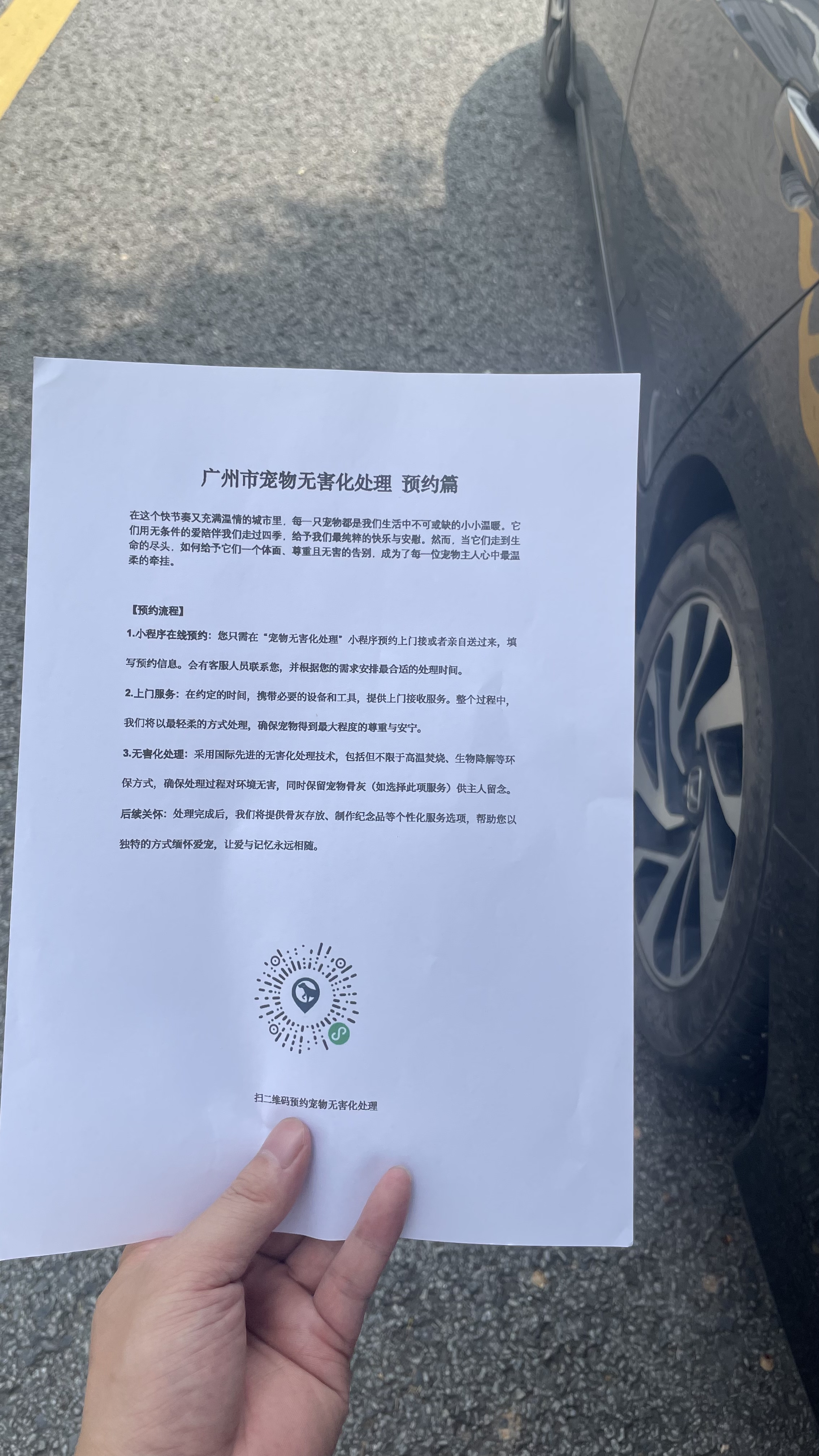 鄂州宠物无害化处理