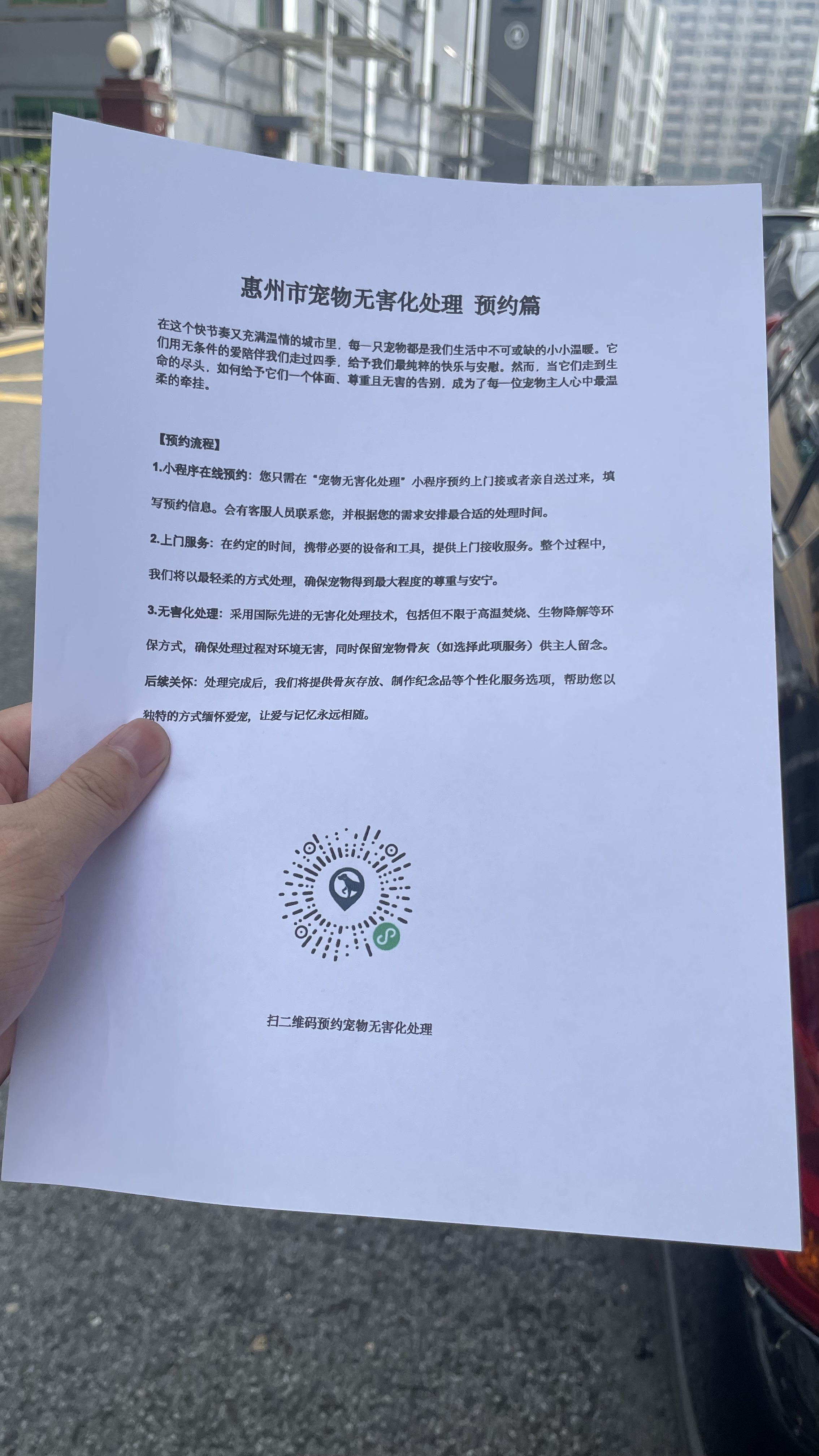 沈阳宠物无害化处理