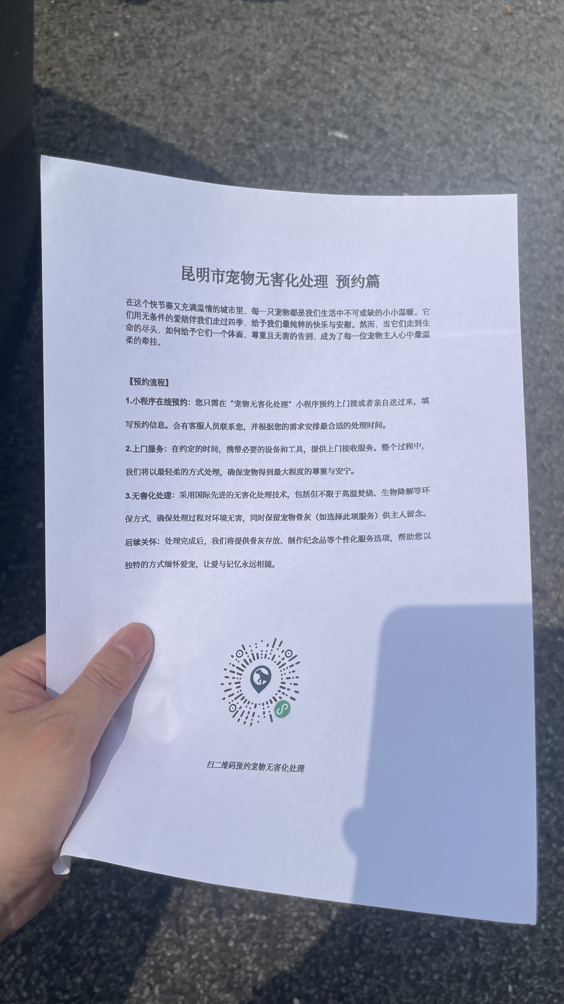 含山宠物接运服务