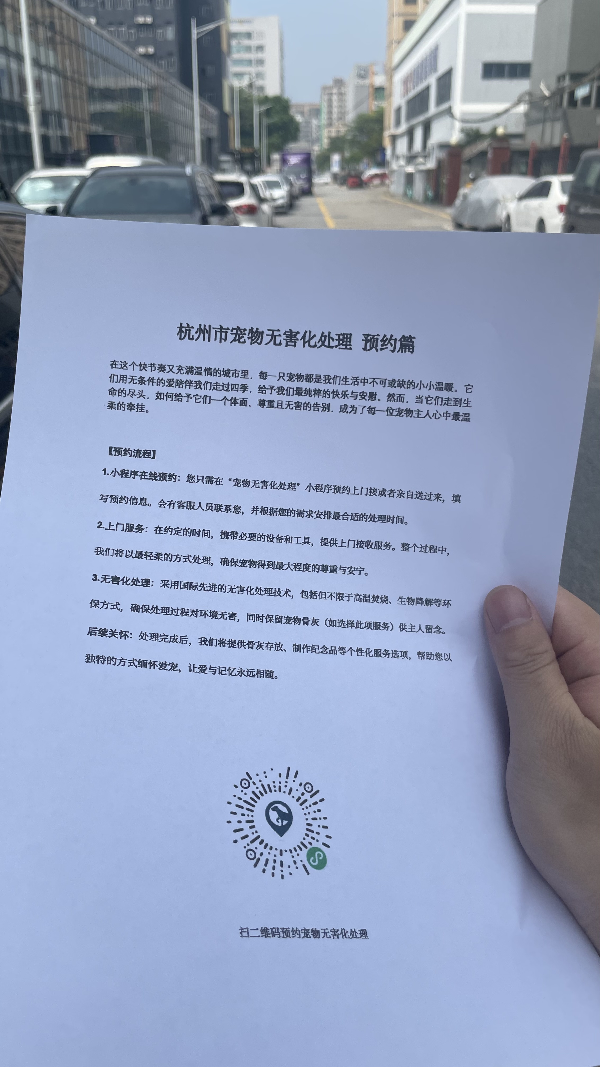 含山宠物告别厅