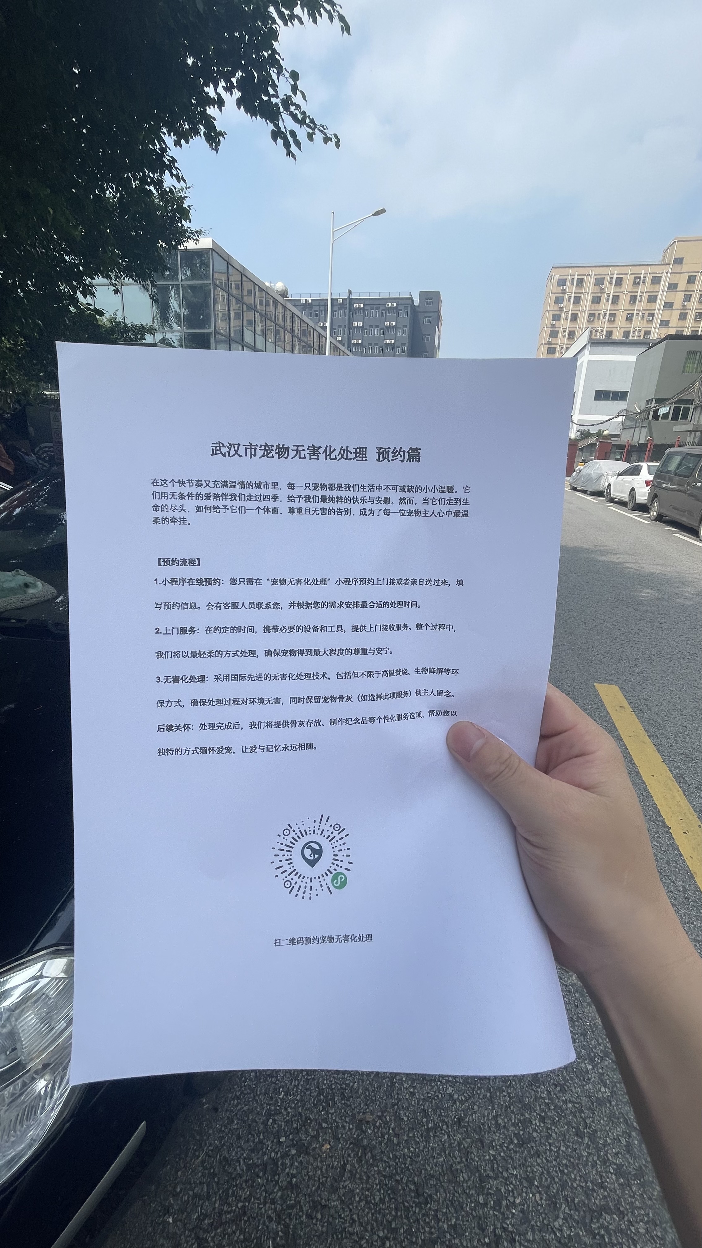 南京宠物遗体规范处理
